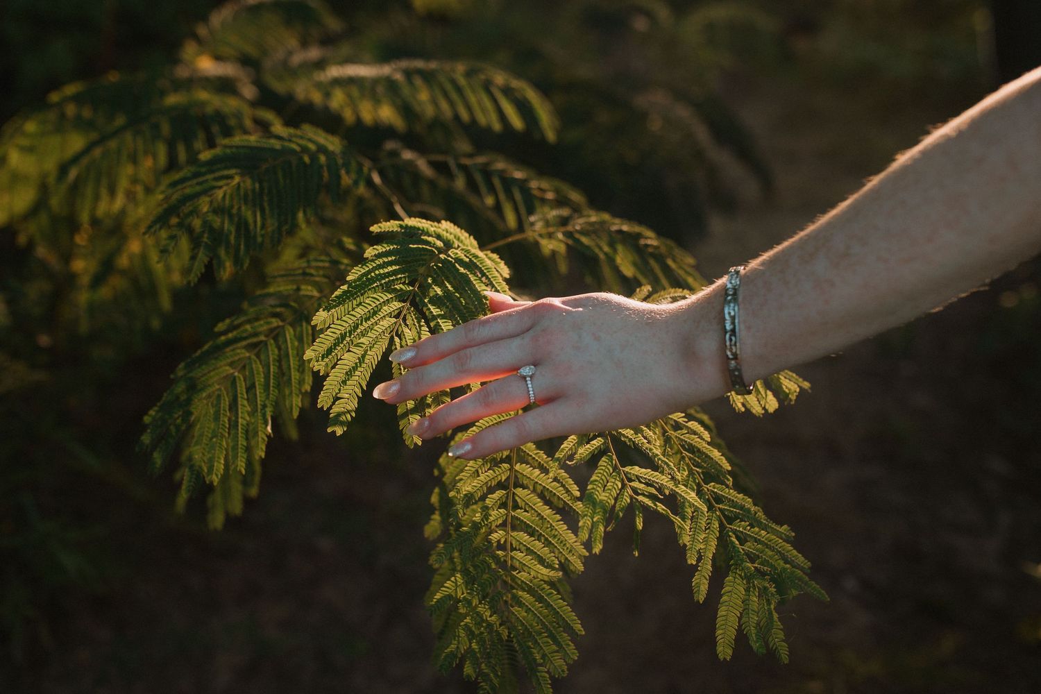 Denison Texas engagement photos at sunset