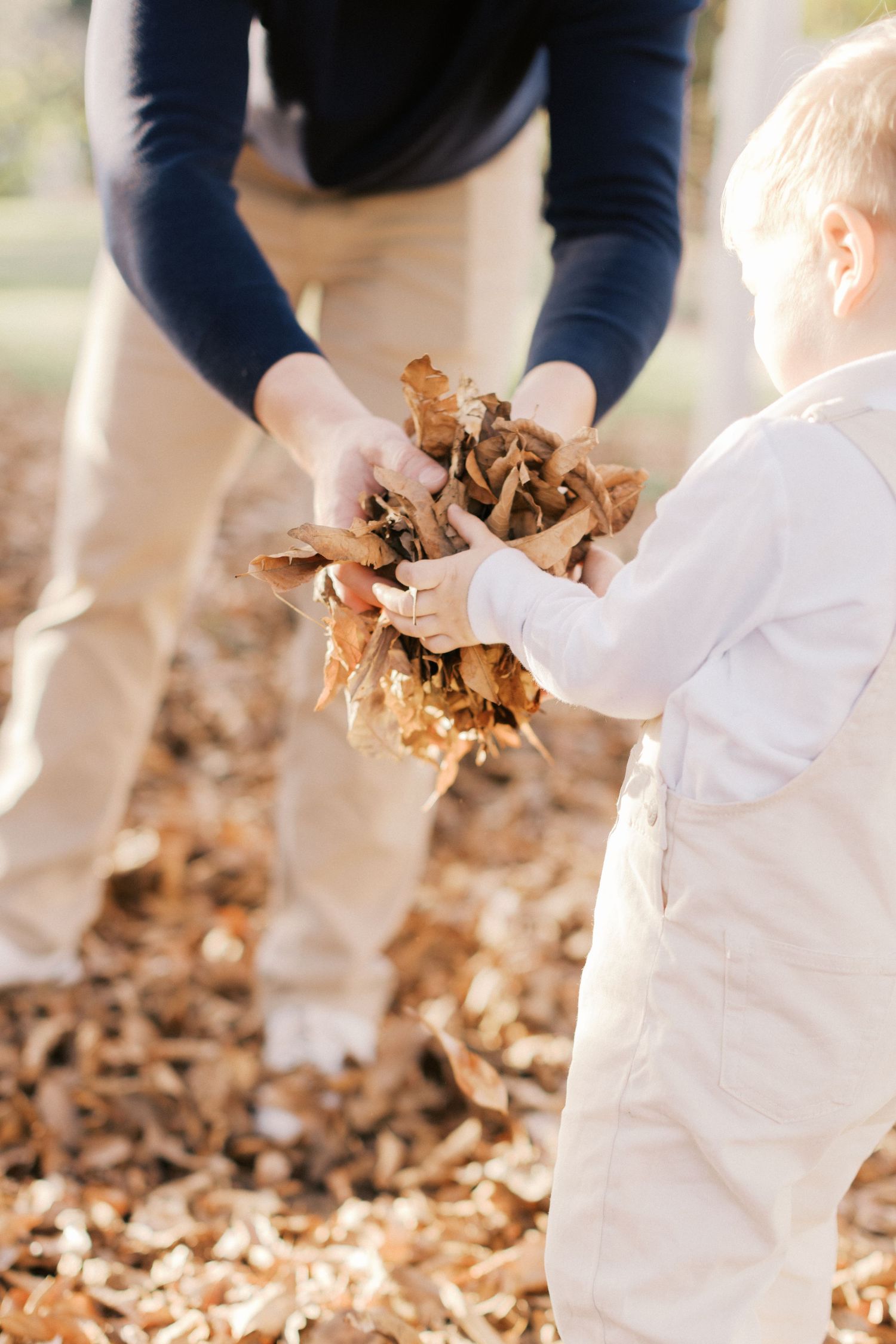 Adult and toddler playing with autumn leaves outdoors, child in white overalls reaching for handful of dried fall leaves.