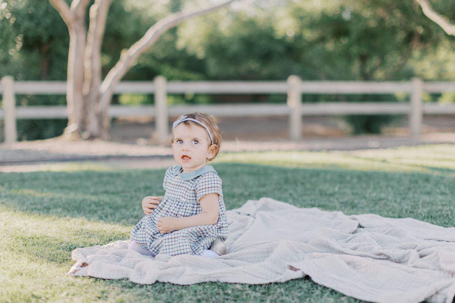 A toddler girl in a blue gingham dress sits on a blanket in a green park with wooden fence background.