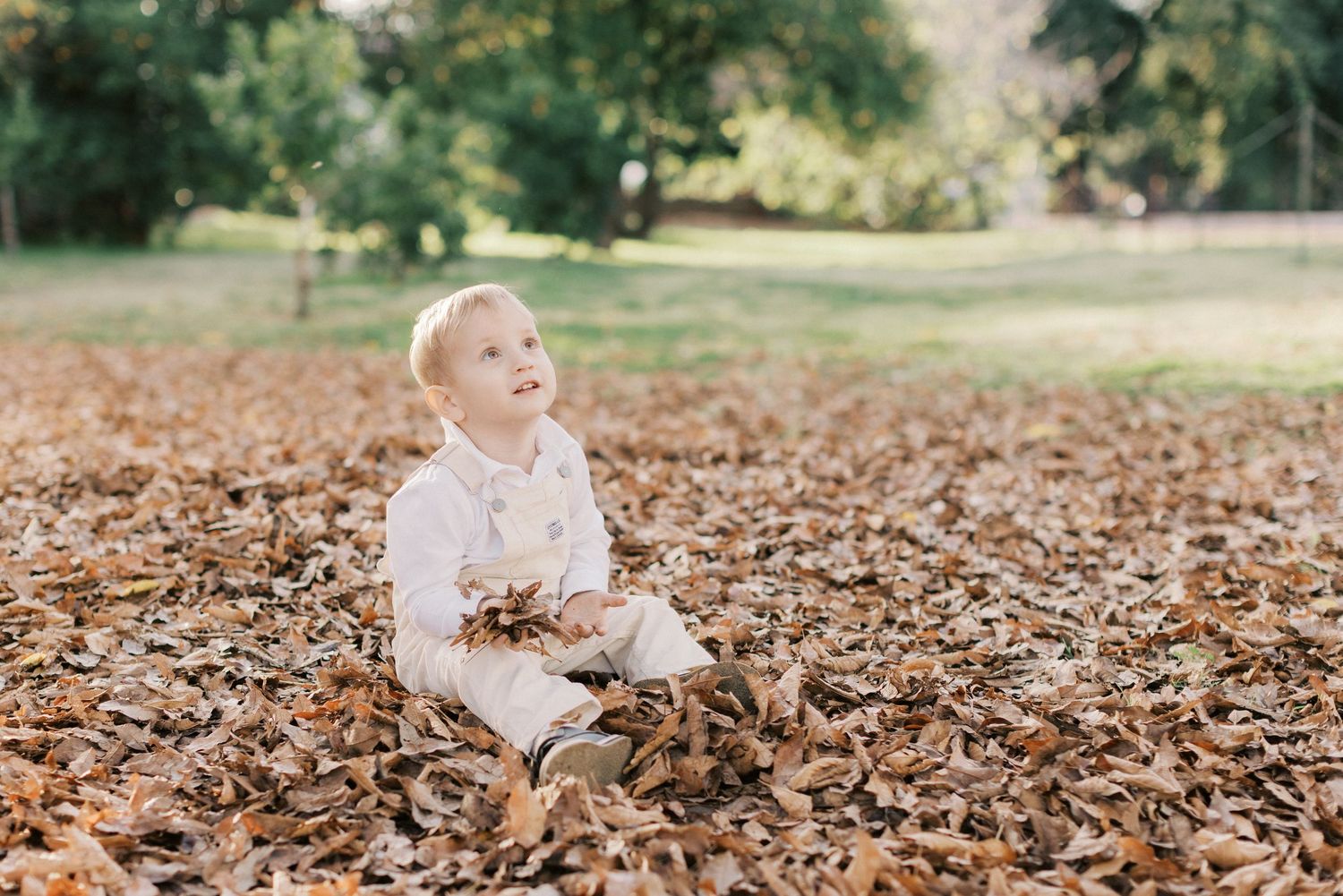 Adorable blonde toddler sitting in pile of autumn leaves outdoors in a sunny park setting.