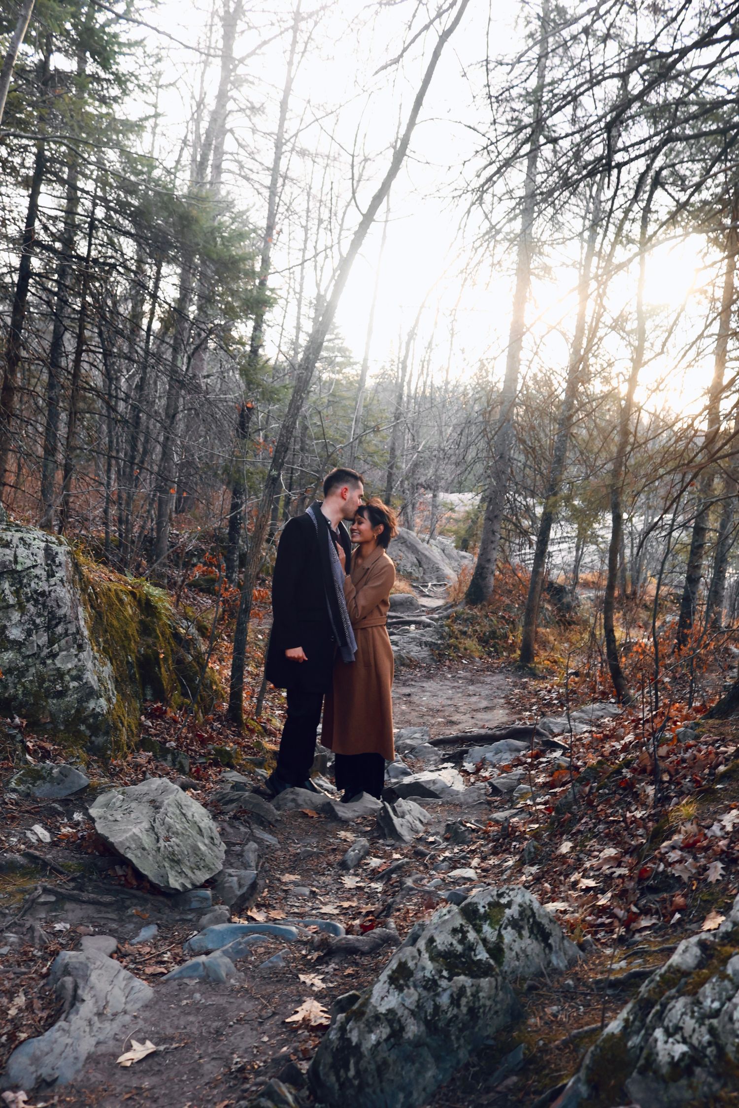 A romantic winter forest scene with snow-dusted rocks and bare trees.