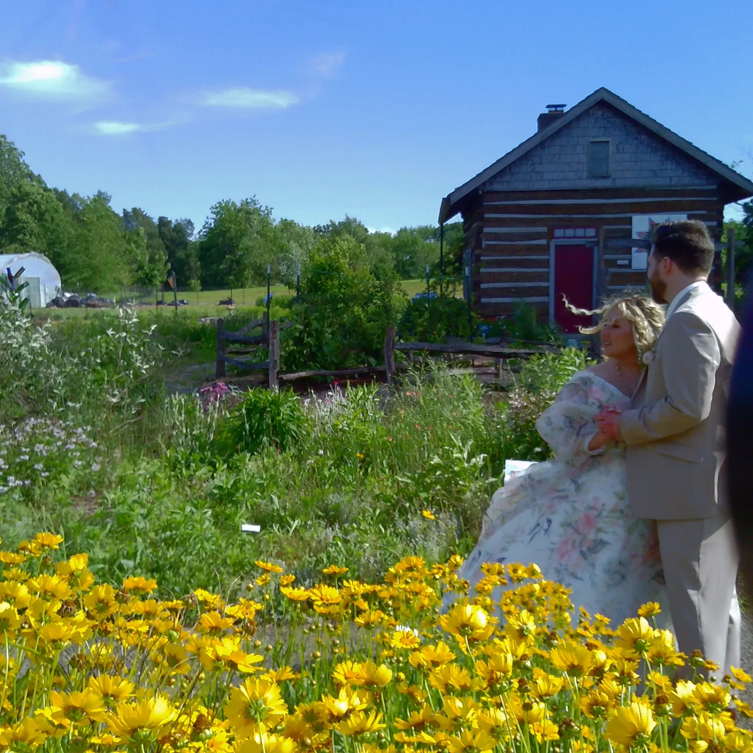 A couple embraces in front of a rustic log cabin with vibrant yellow wildflowers blooming in the foreground.