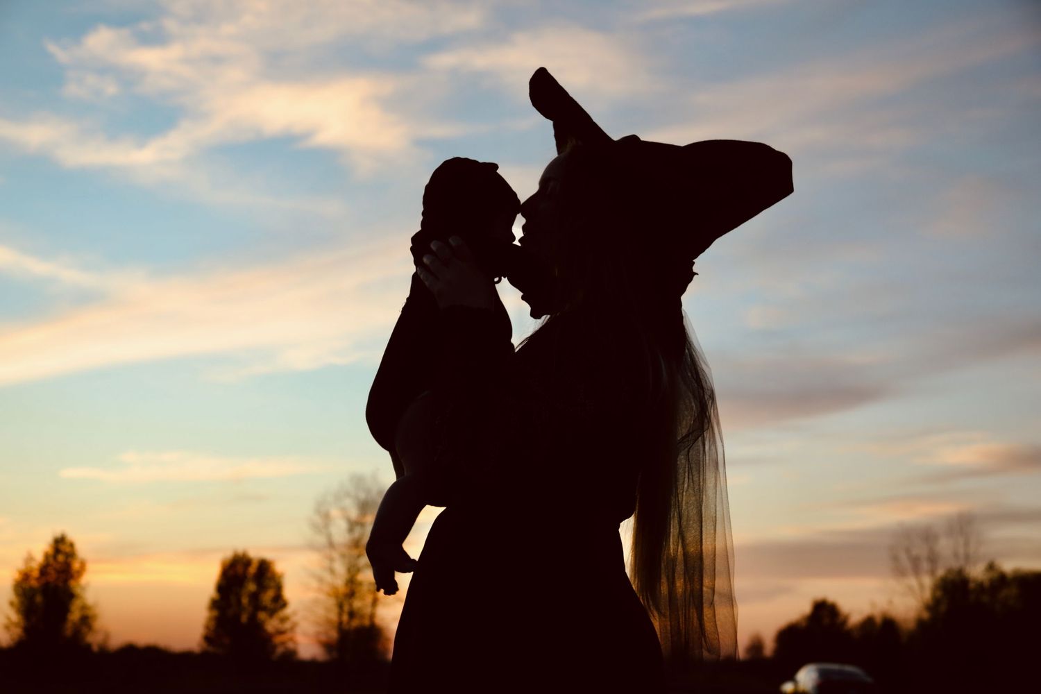 Dramatic silhouettes against sunset sky with wispy clouds.