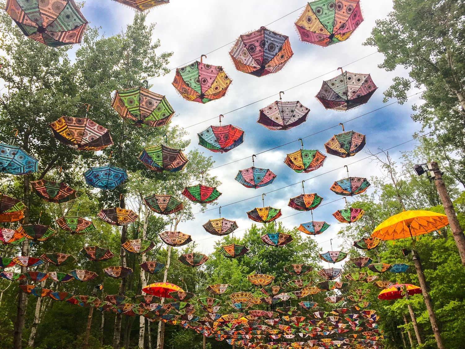 Decorative umbrellas suspended above creating a colorful canopy installation at an outdoor event.