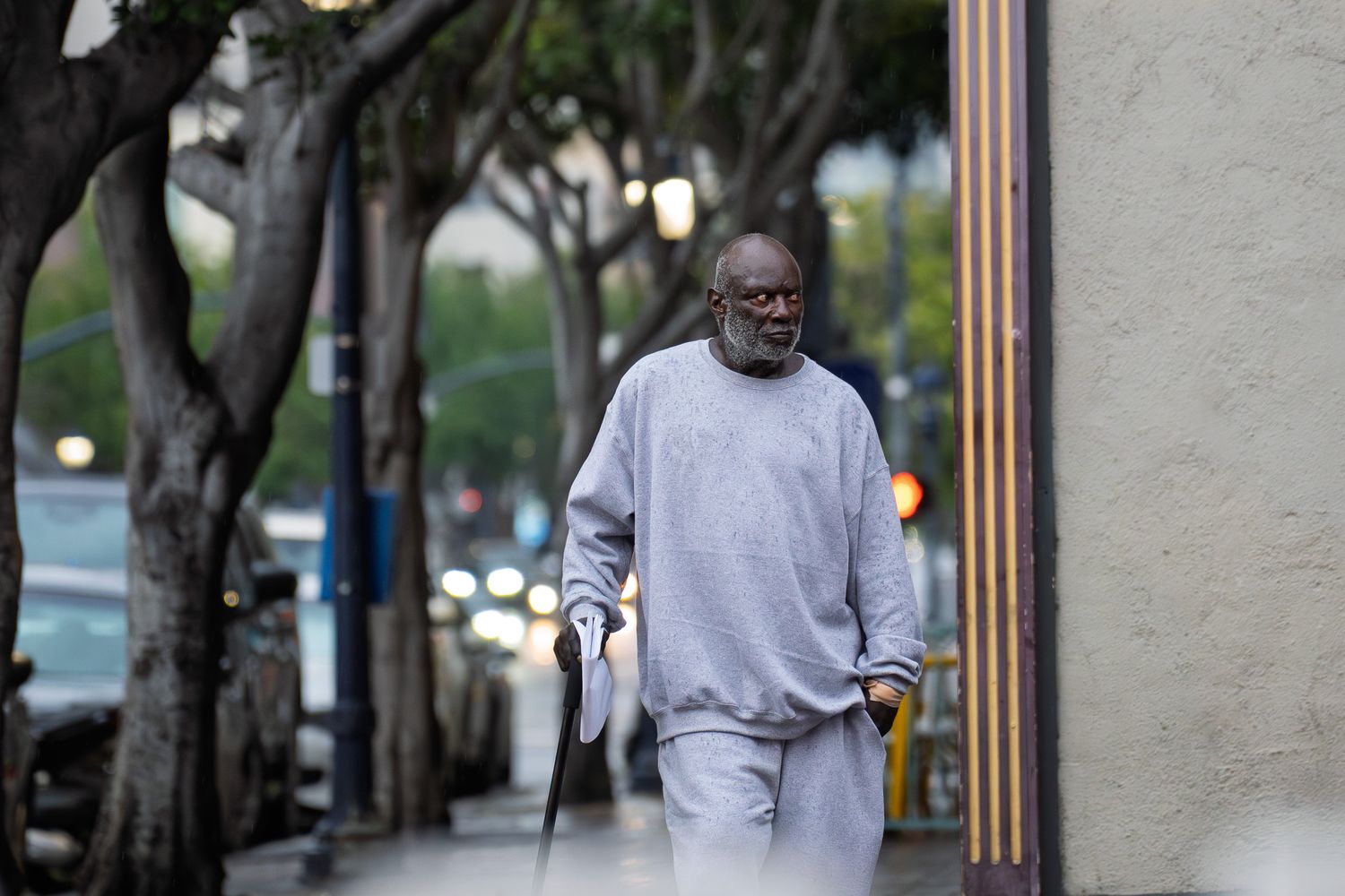 Person in light colored clothing walking along a palm tree lined street.