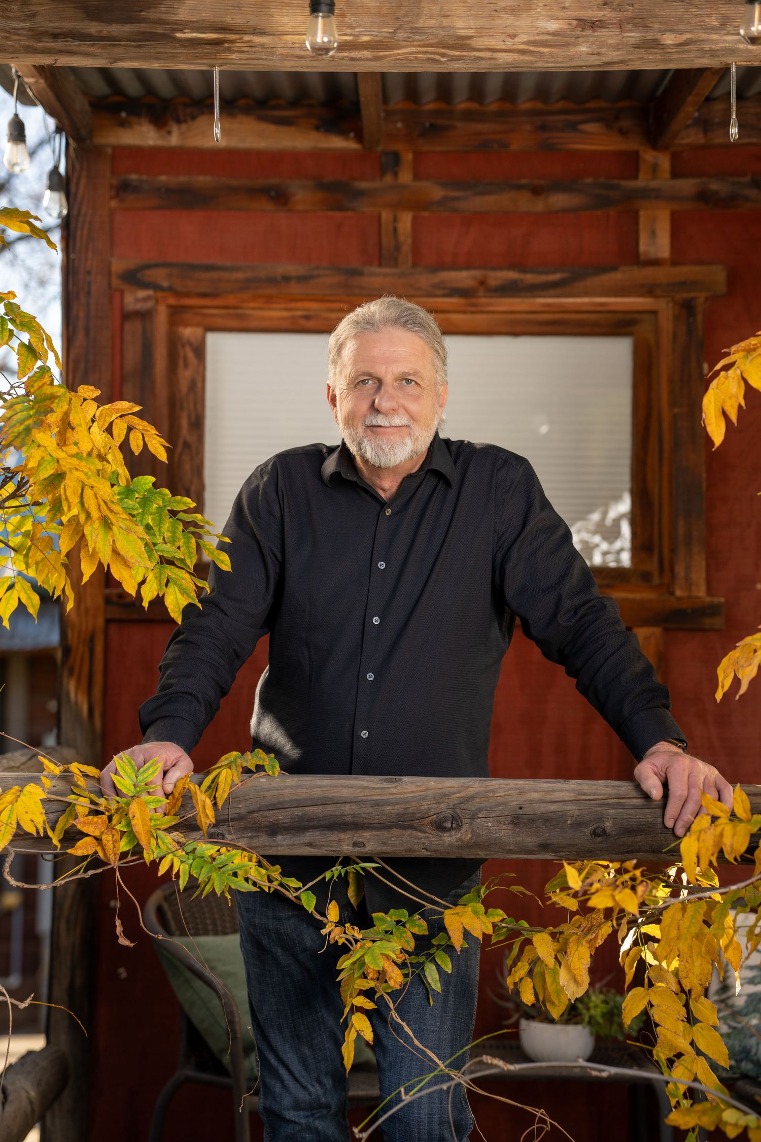 A rustic wooden window frame surrounded by yellow autumn leaves creates a cozy seasonal scene.