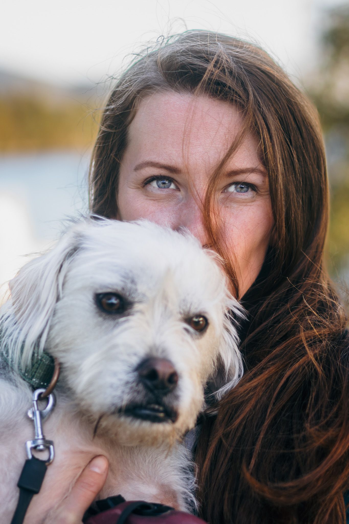 White fluffy dog poses for close-up photo with their owner.