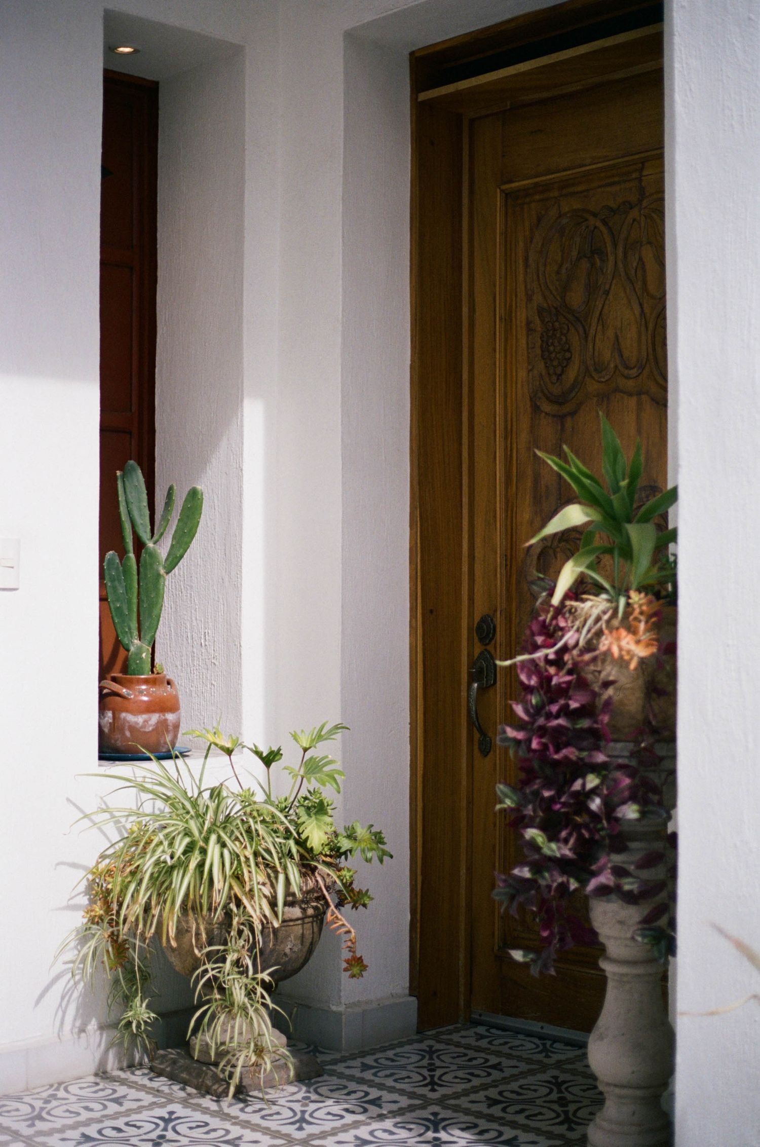 Architectural detail of a white portico with wooden doors and decorative potted plants.
