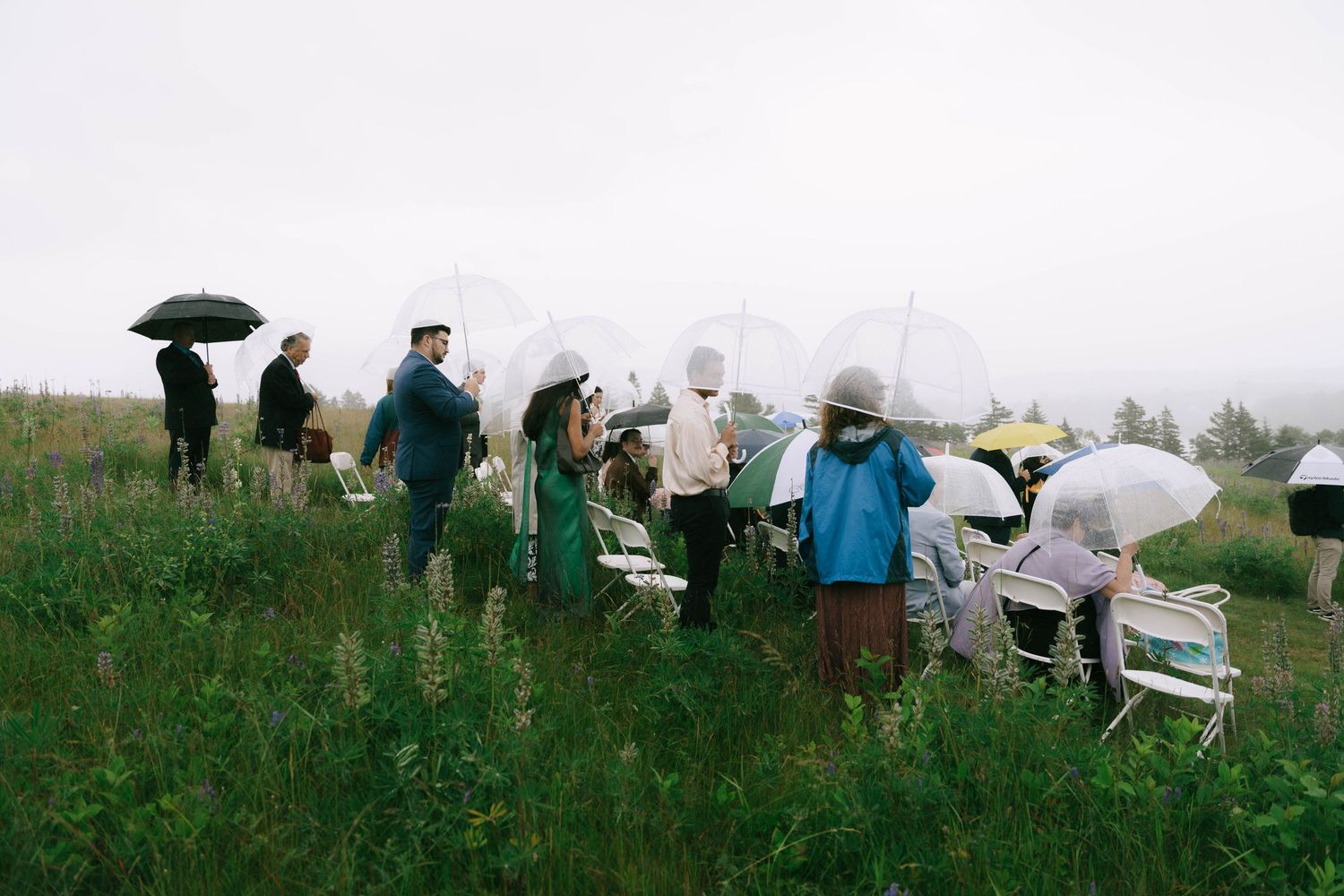 Wedding guests with umbrellas gather in a grassy field during overcast weather.