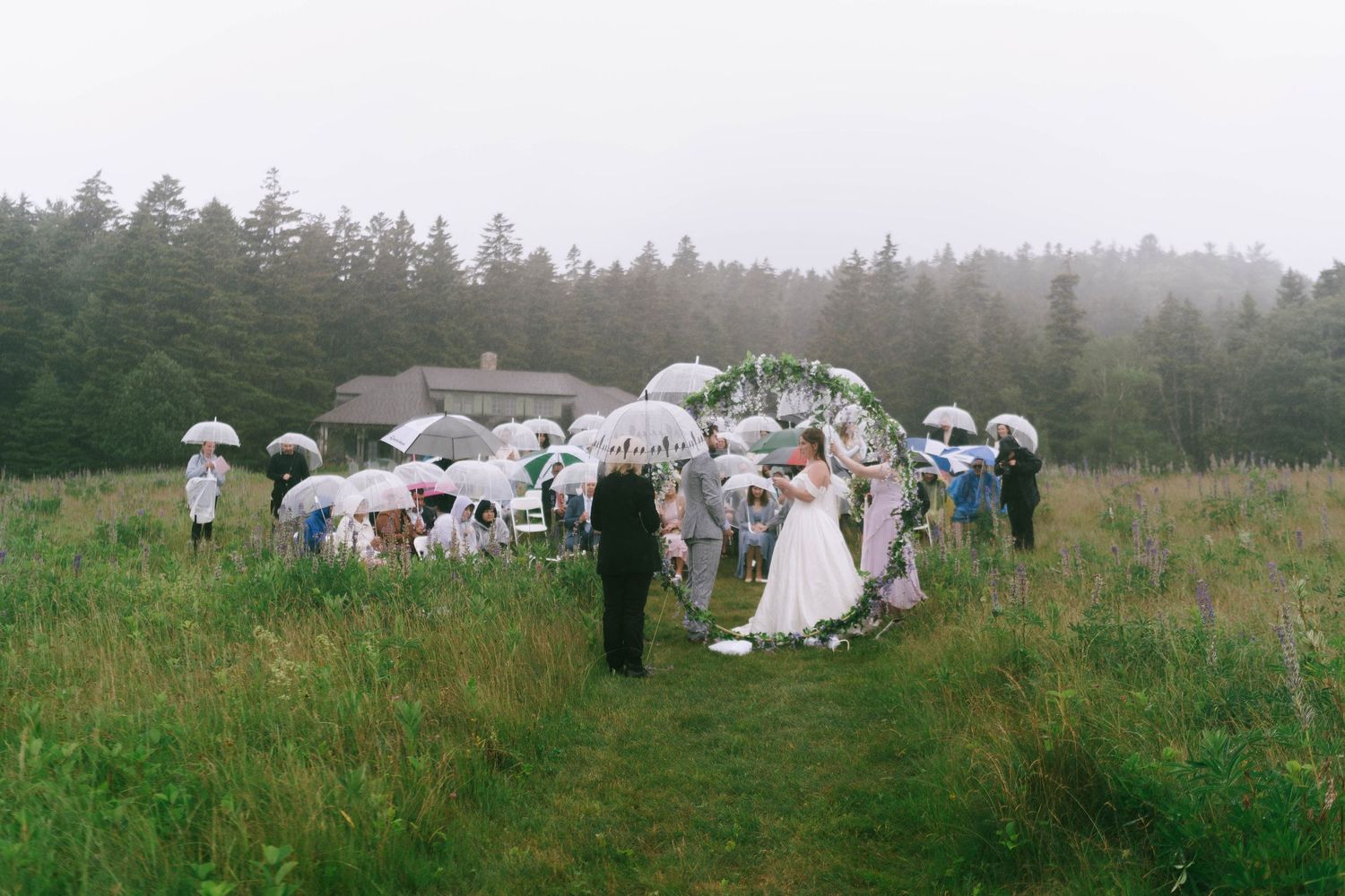 Wedding guests with umbrellas gather in a green field surrounded by pine trees.
