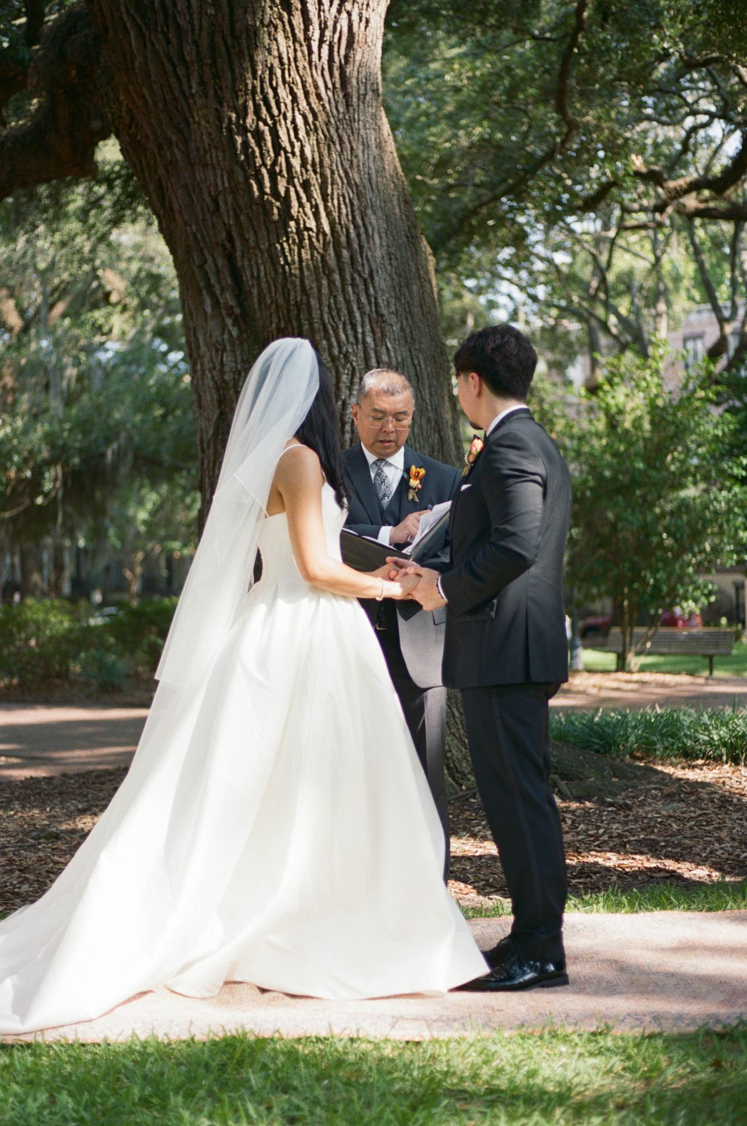 A wedding ceremony moment under a large oak tree with Spanish moss.