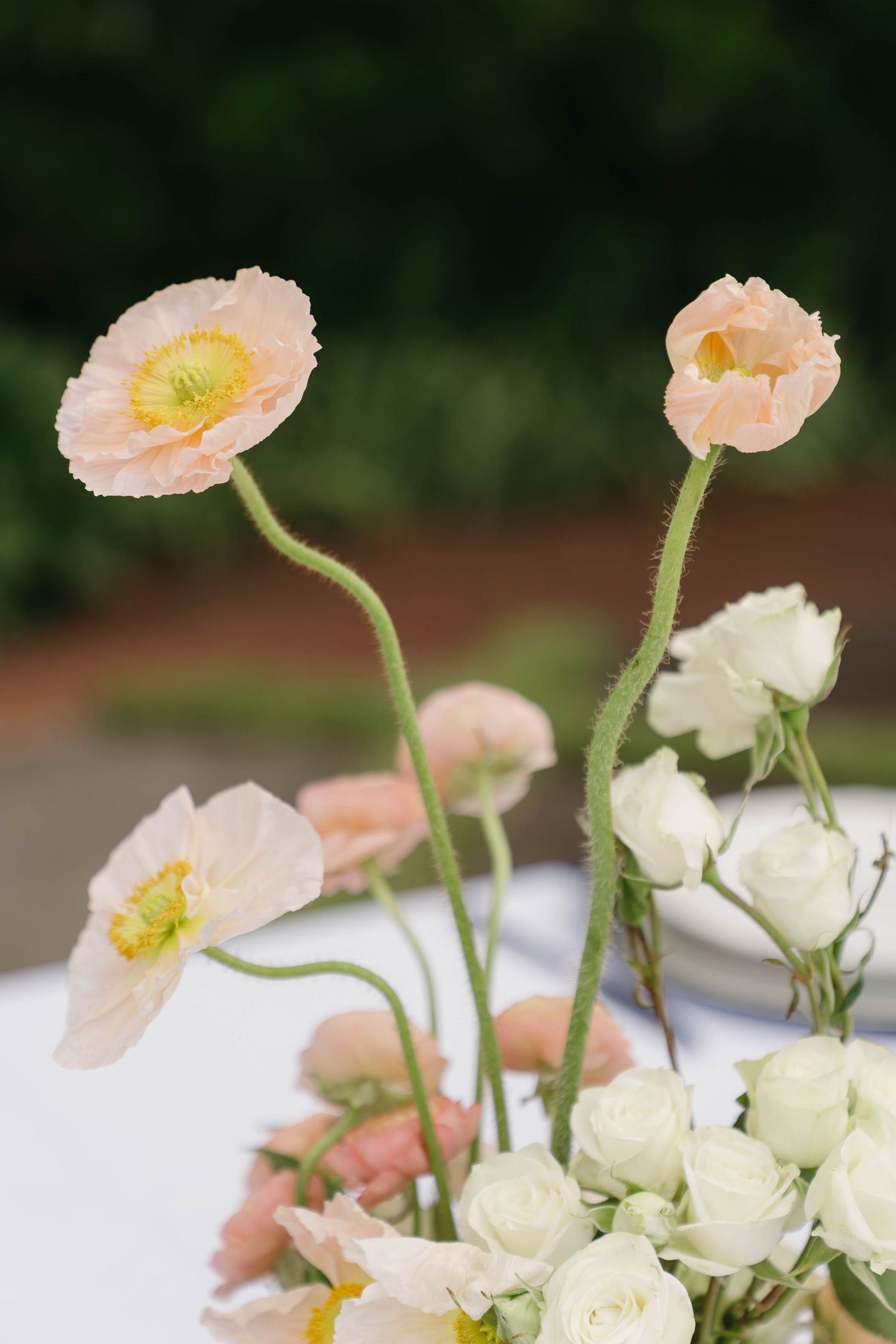 Delicate blush pink poppy flowers and white roses arranged in an elegant wedding floral centerpiece outdoors.