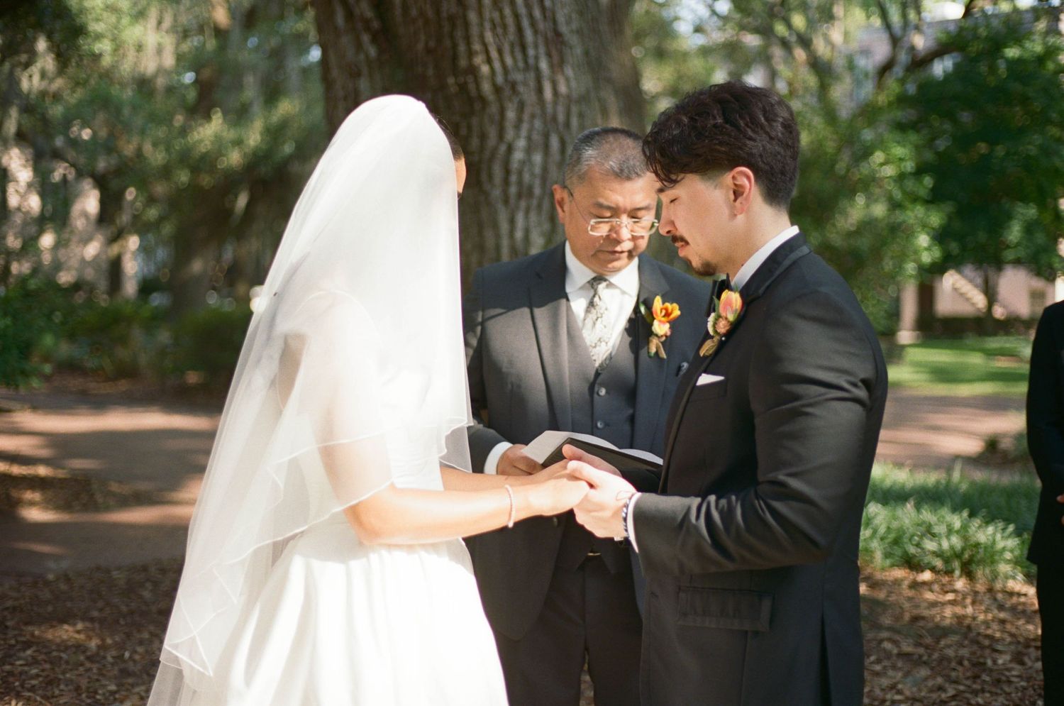 Couple exchanges vows during outdoor wedding ceremony beneath towering oak trees.