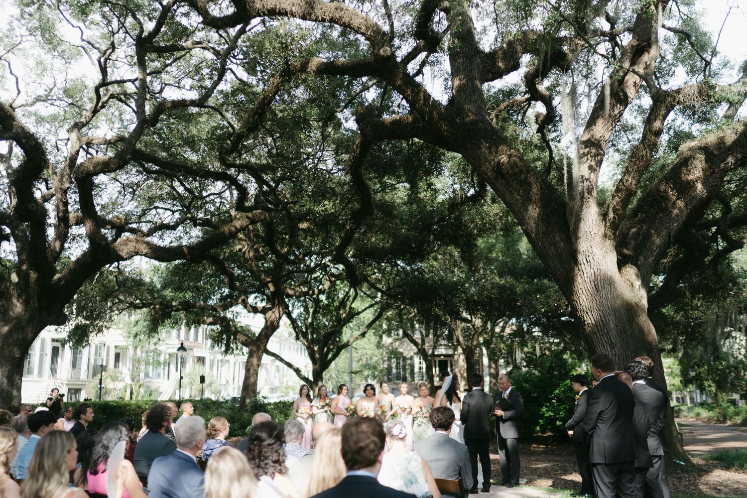Large oak trees with hanging Spanish moss create a natural canopy over a scenic pathway.