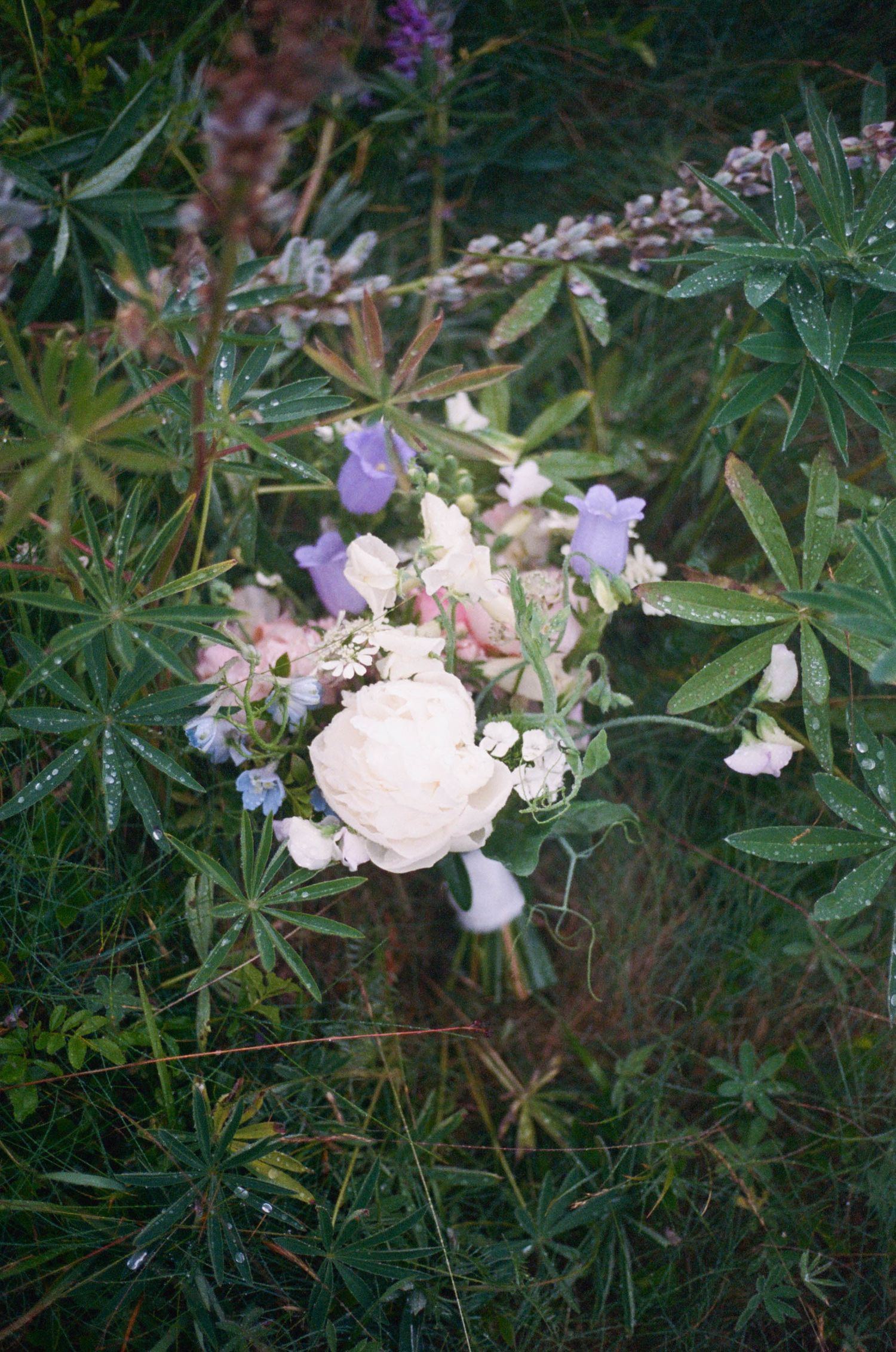 Delicate bouquet with pink peony and purple wildflowers against dark green foliage.