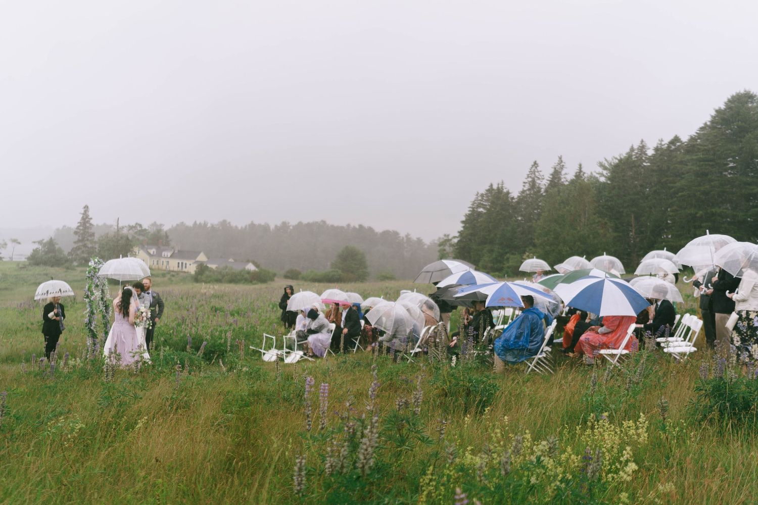 White tents dot a misty hillside landscape with evergreen trees in the background.
