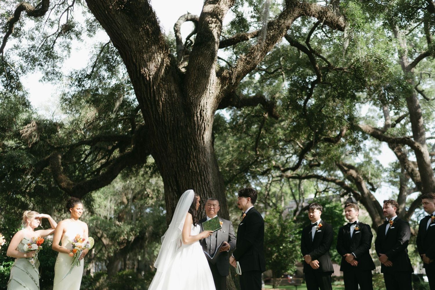 Majestic oak trees creating a natural canopy over an outdoor event space.