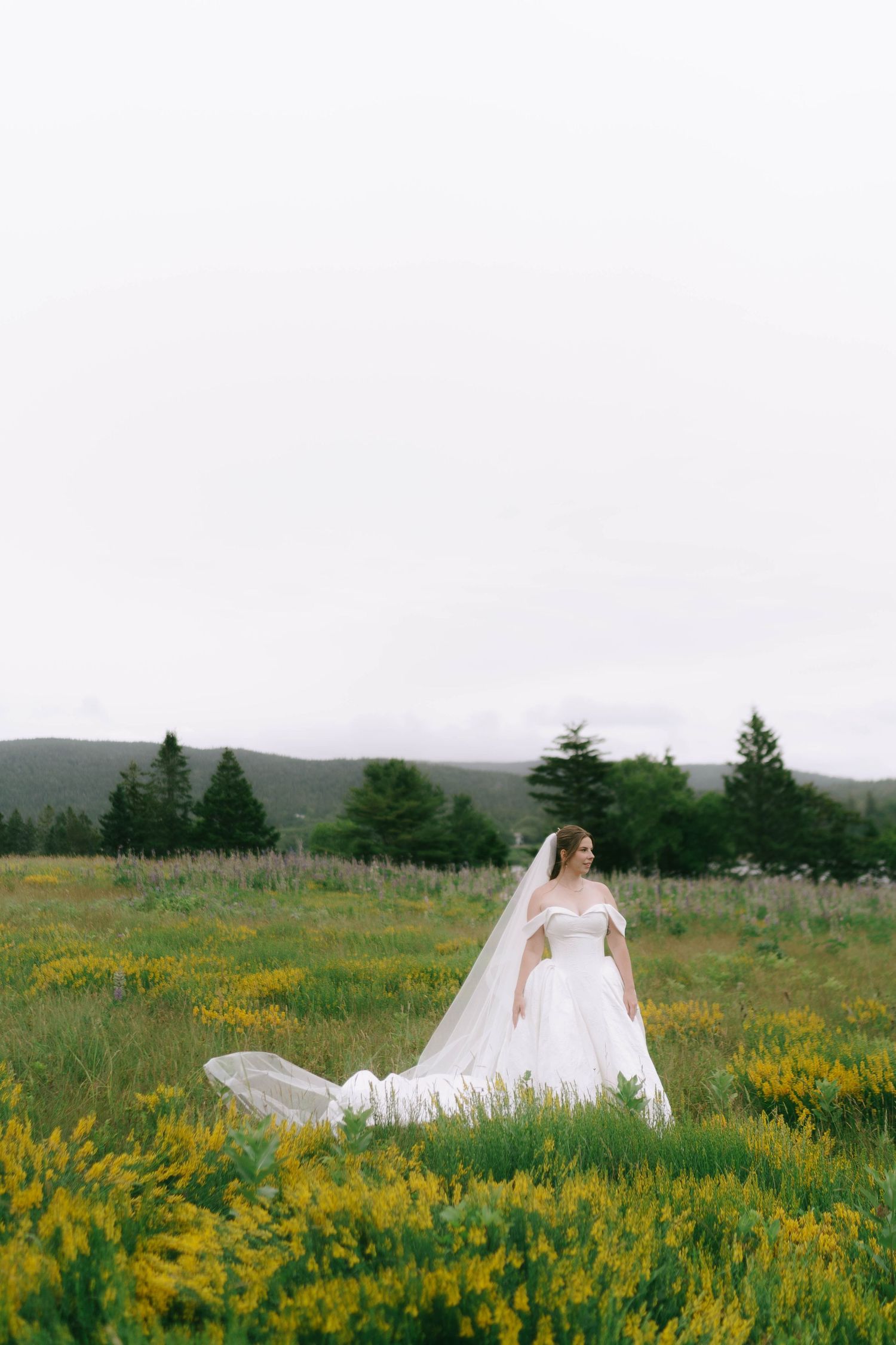 A bride in a flowing white dress stands in a field of yellow wildflowers with evergreen trees in the background.
