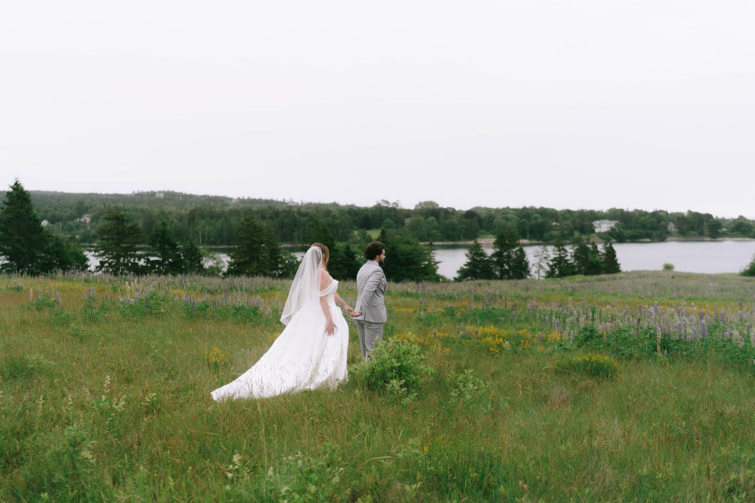 A distant view of a couple in wedding attire walking through a coastal meadow.