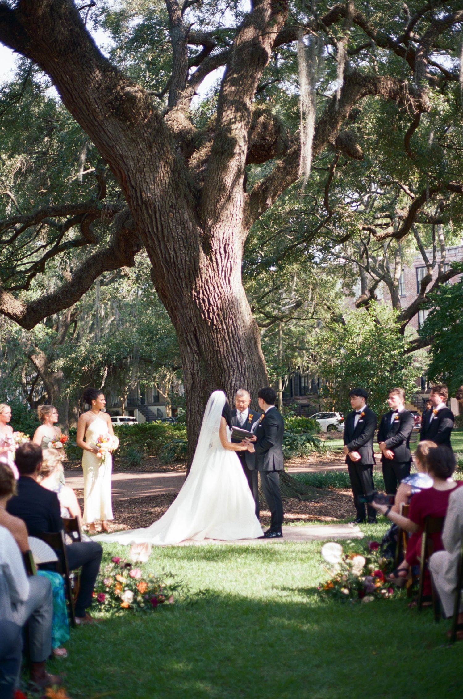 A wedding ceremony takes place beneath a majestic oak tree with Spanish moss.