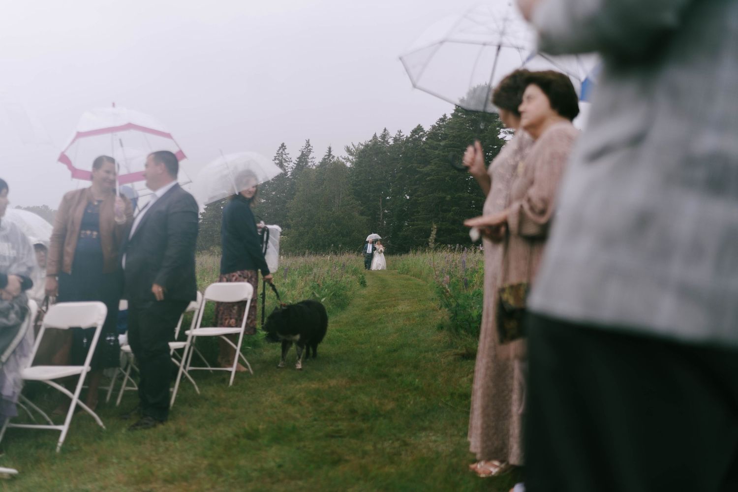 Wedding guests gather outdoors with umbrellas on a misty hillside during a rainy ceremony.