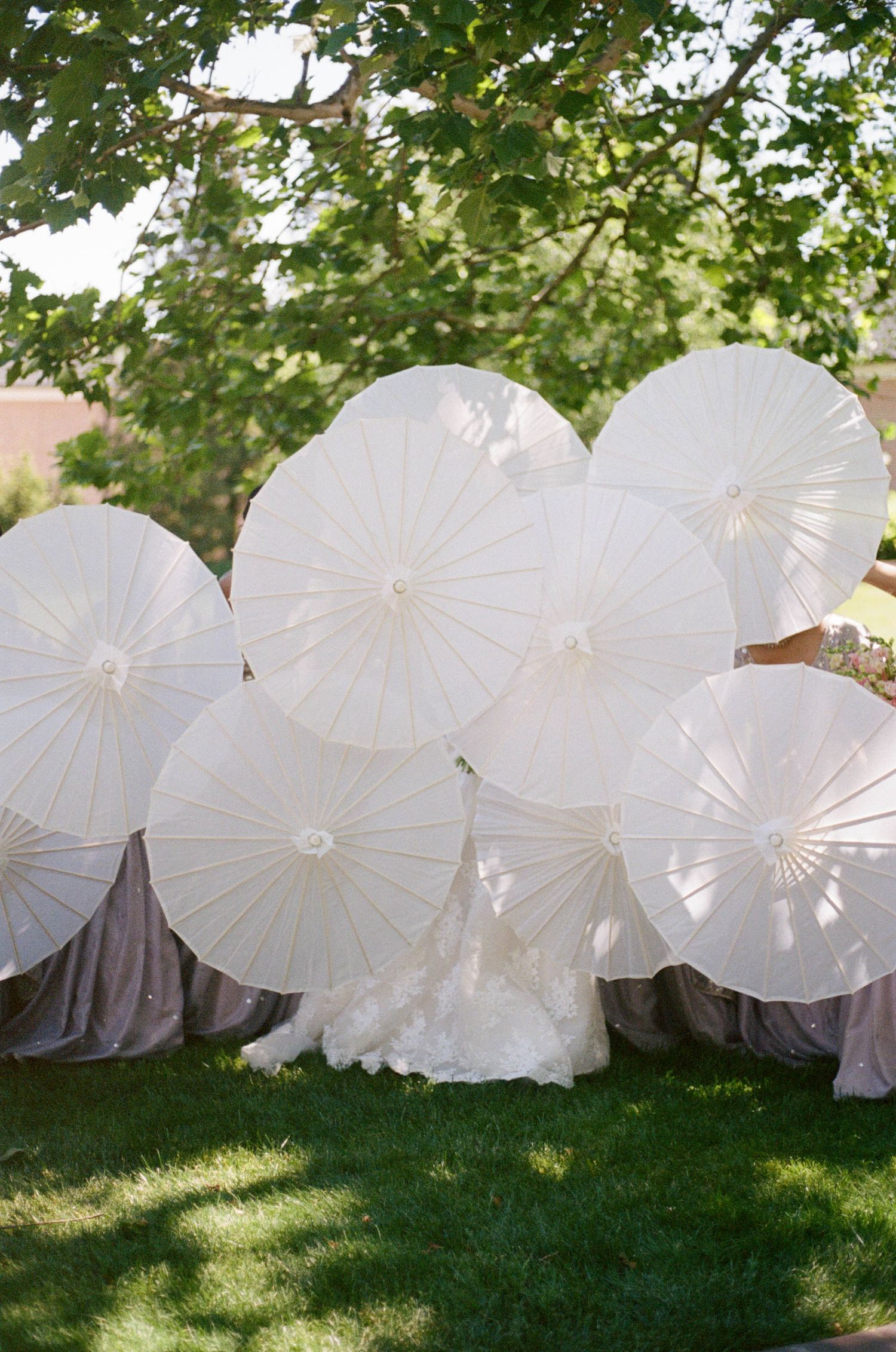 Wedding party holds white paper parasols on green lawn creating elegant outdoor bridal photo backdrop.