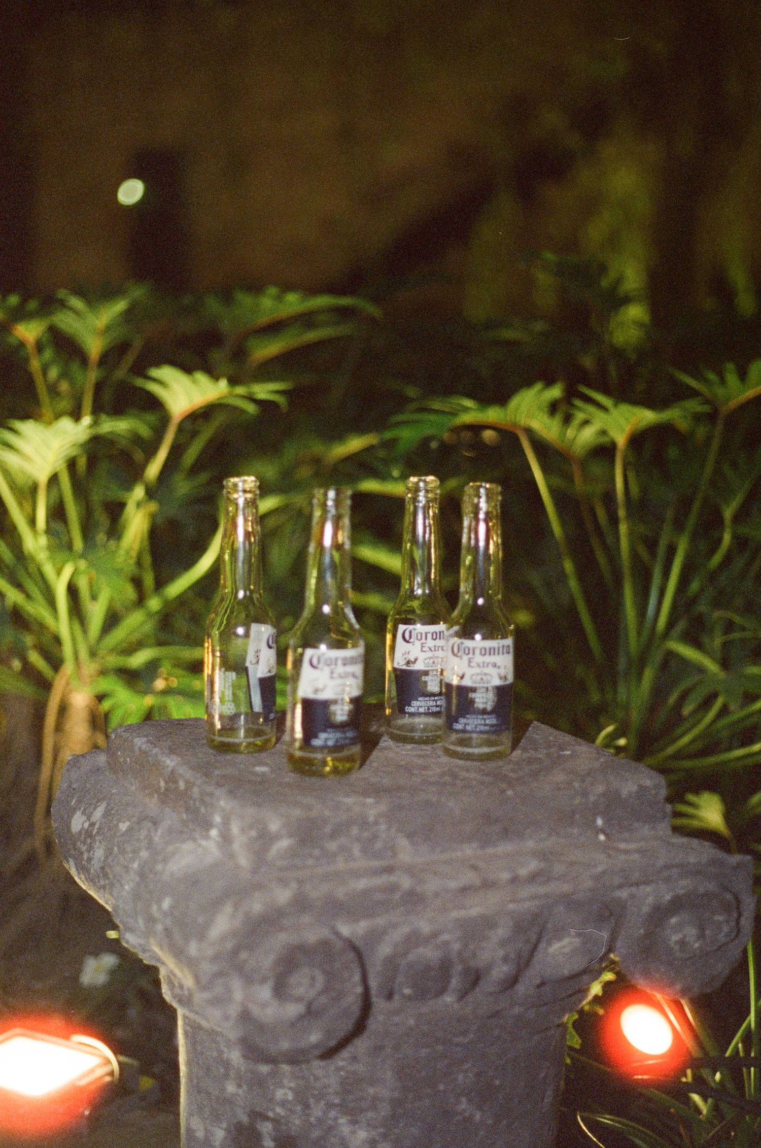 Empty beer bottles arranged on a decorative stone ledge with glowing red lights and plants.