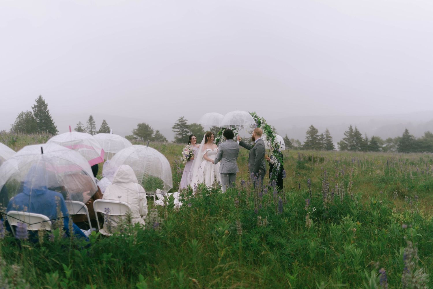 Wedding guests huddle under clear umbrellas during an outdoor ceremony in a meadow.