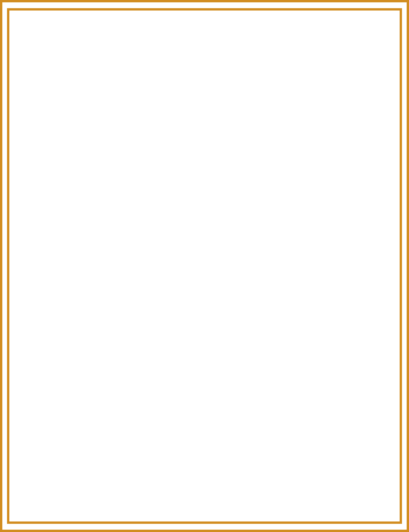 Simple orange double-lined rectangular border frame.