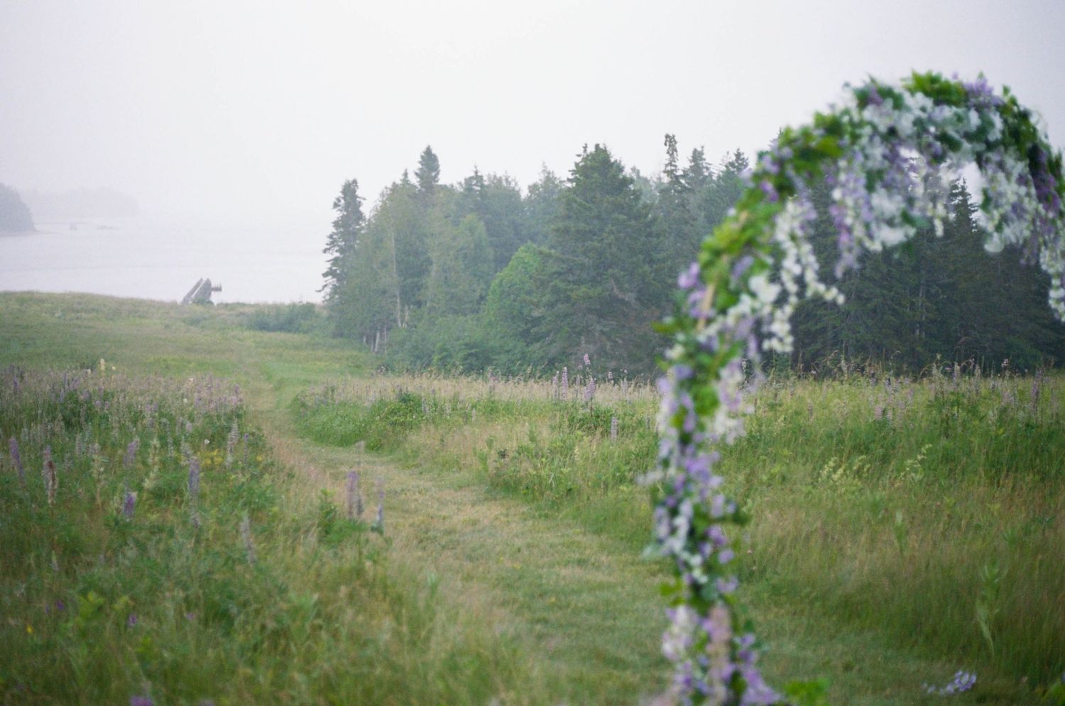 Misty rural landscape with rolling hills and evergreen trees in the background.