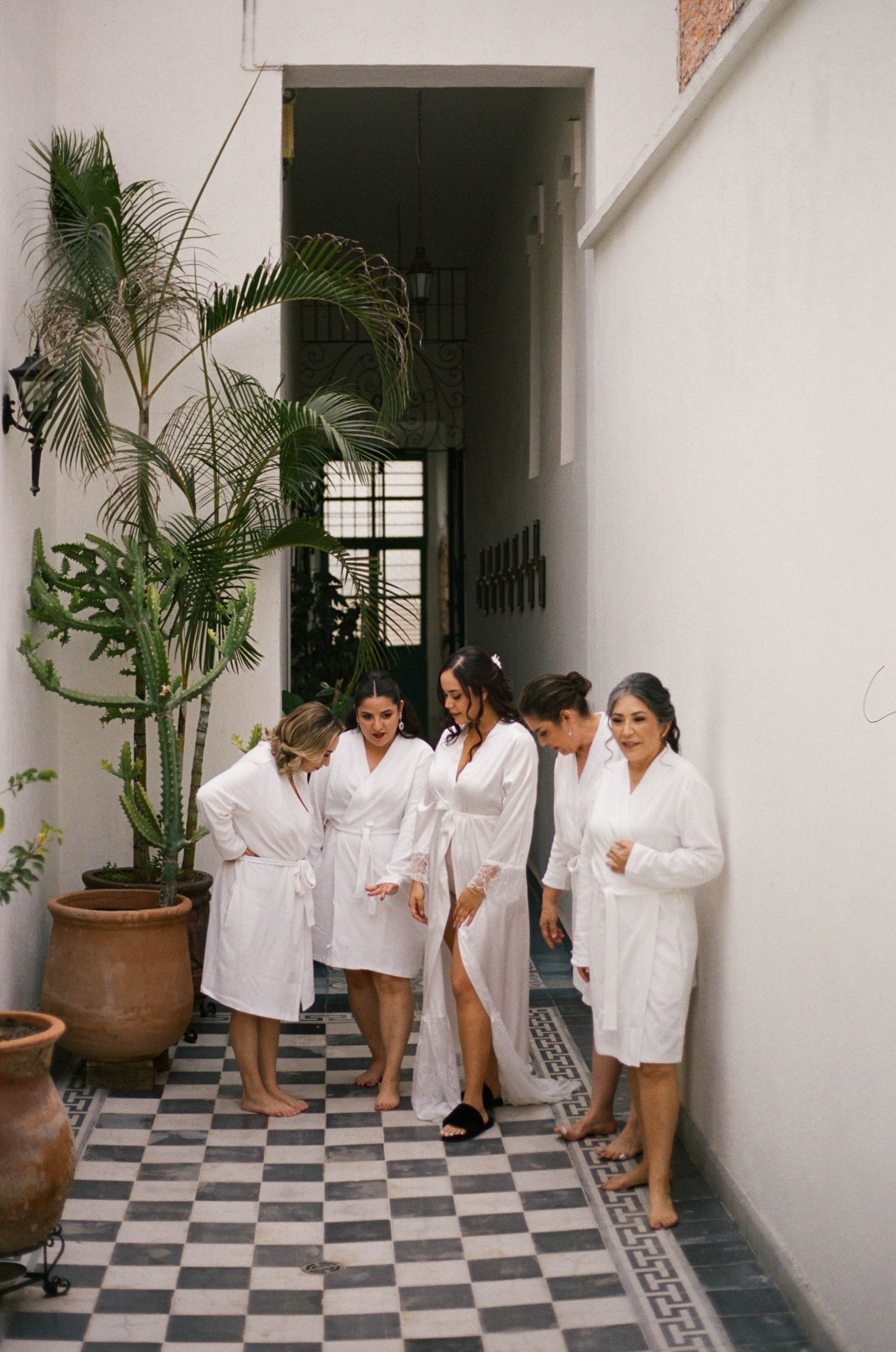 Group in white robes walking along a colonnade with potted plants and checkered flooring.
