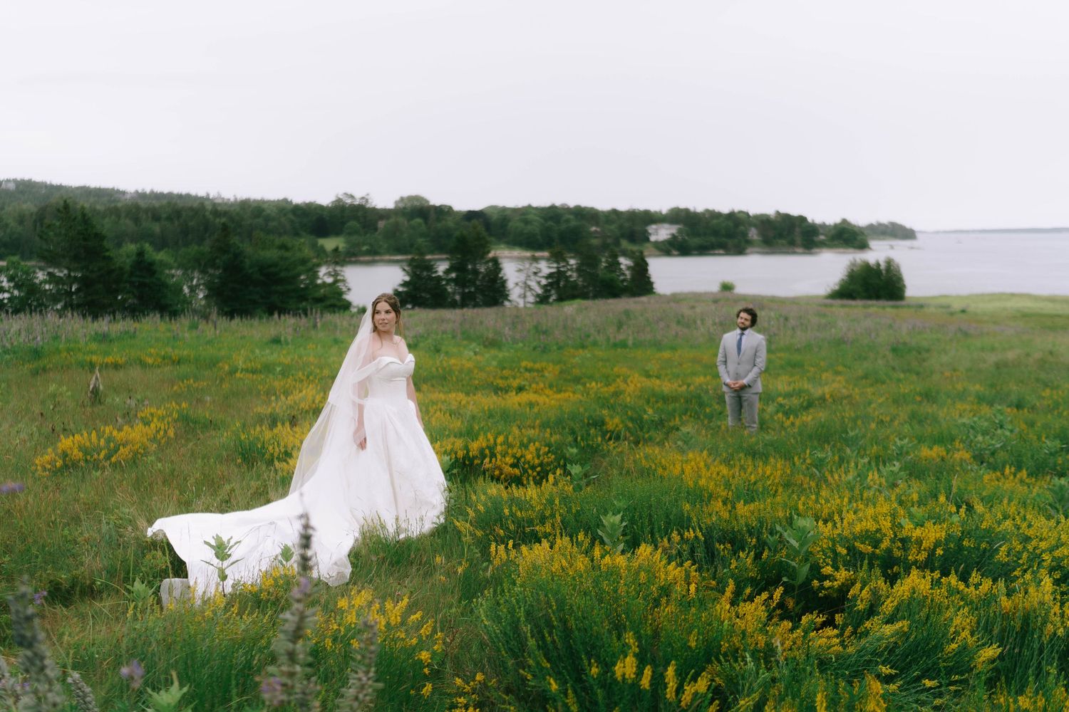 A couple walks through a meadow filled with yellow wildflowers near a waterfront.