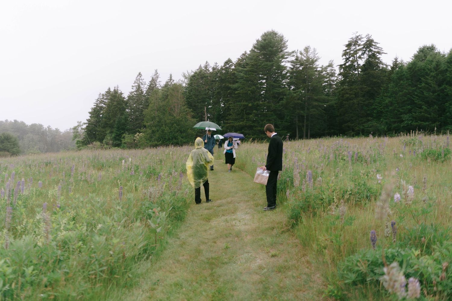 People with umbrellas walk along a grassy path through a misty field.