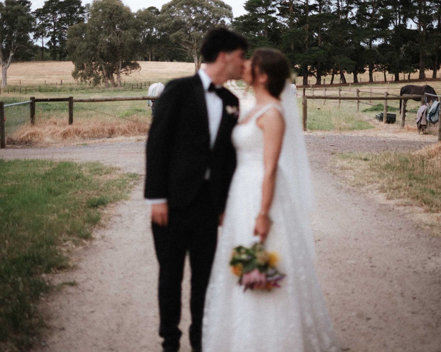 Bride and Groom portrait at Hazelmere Homestead, Echunga, Adelaide Hills, photographed by Barossa Valley wedding photographer Matt Webster.