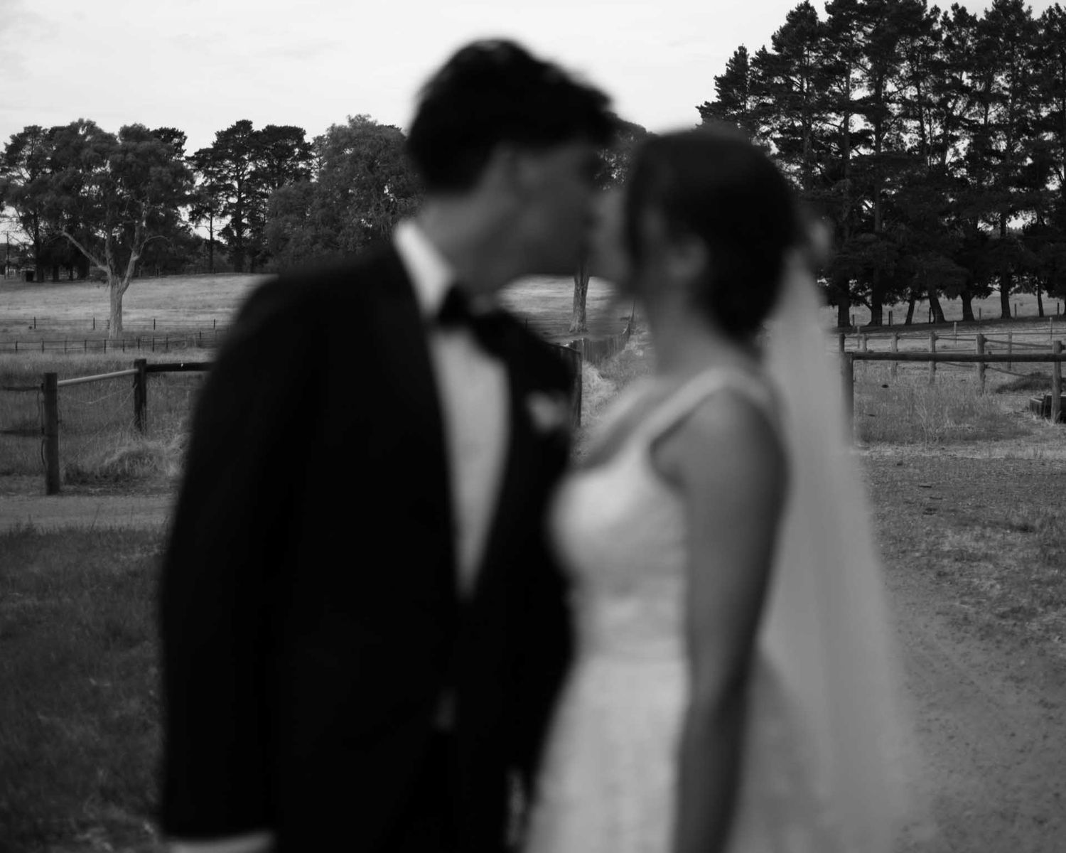 Bride and groom kiss after wedding at Hazelmere Homestead, artfully captured in black and white by Barossa Valley photographer Matt Webster.