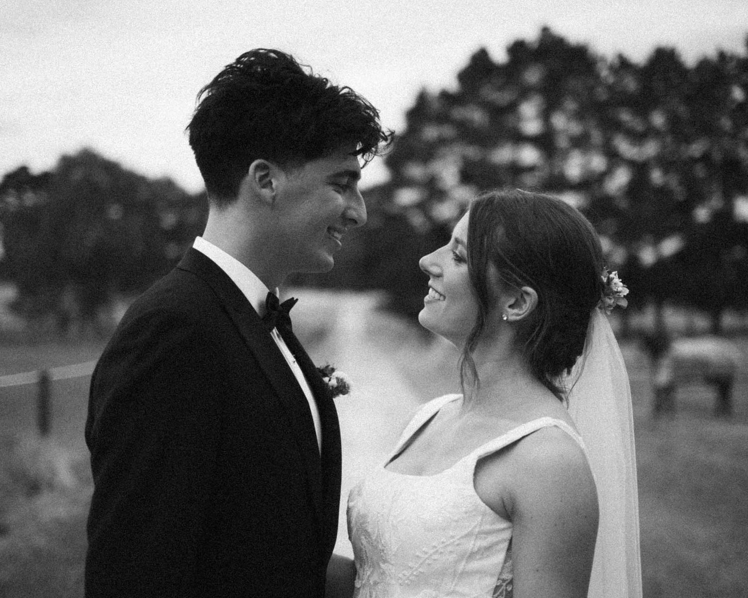 Bride and groom portrait photo at Hazelmere Homestead, Echunga, photographed by Barossa Valley photographer Matt Webster.