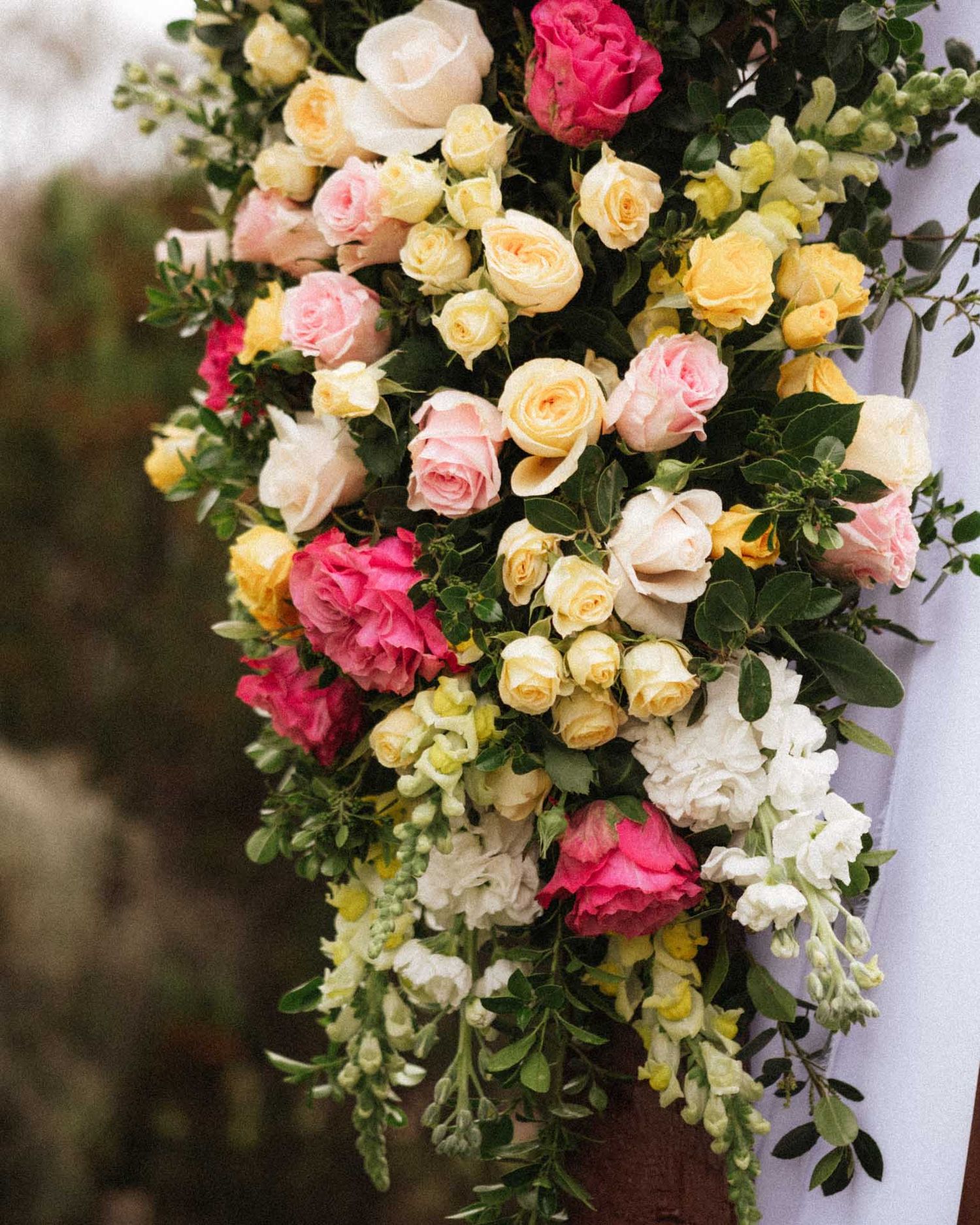 Flowers on a wedding arbour at an outdoor wedding in Tanunda, captured by Barossa Valley wedding photographer Matt Webster