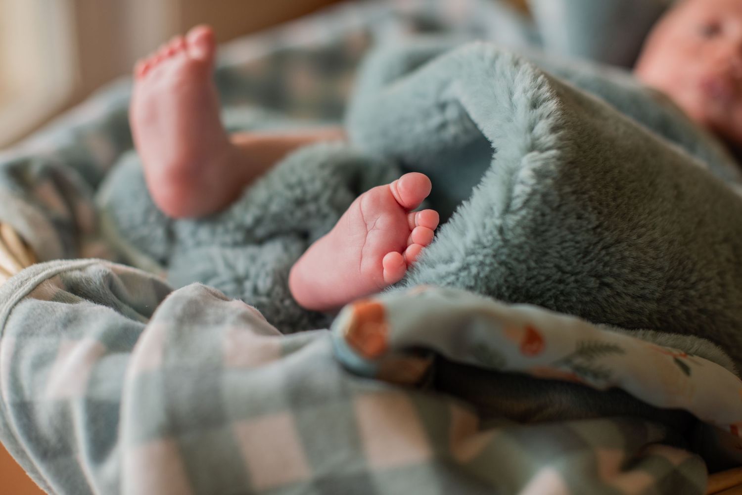 Close-up of newborn baby feet peeking out from a soft teal and plaid blanket.