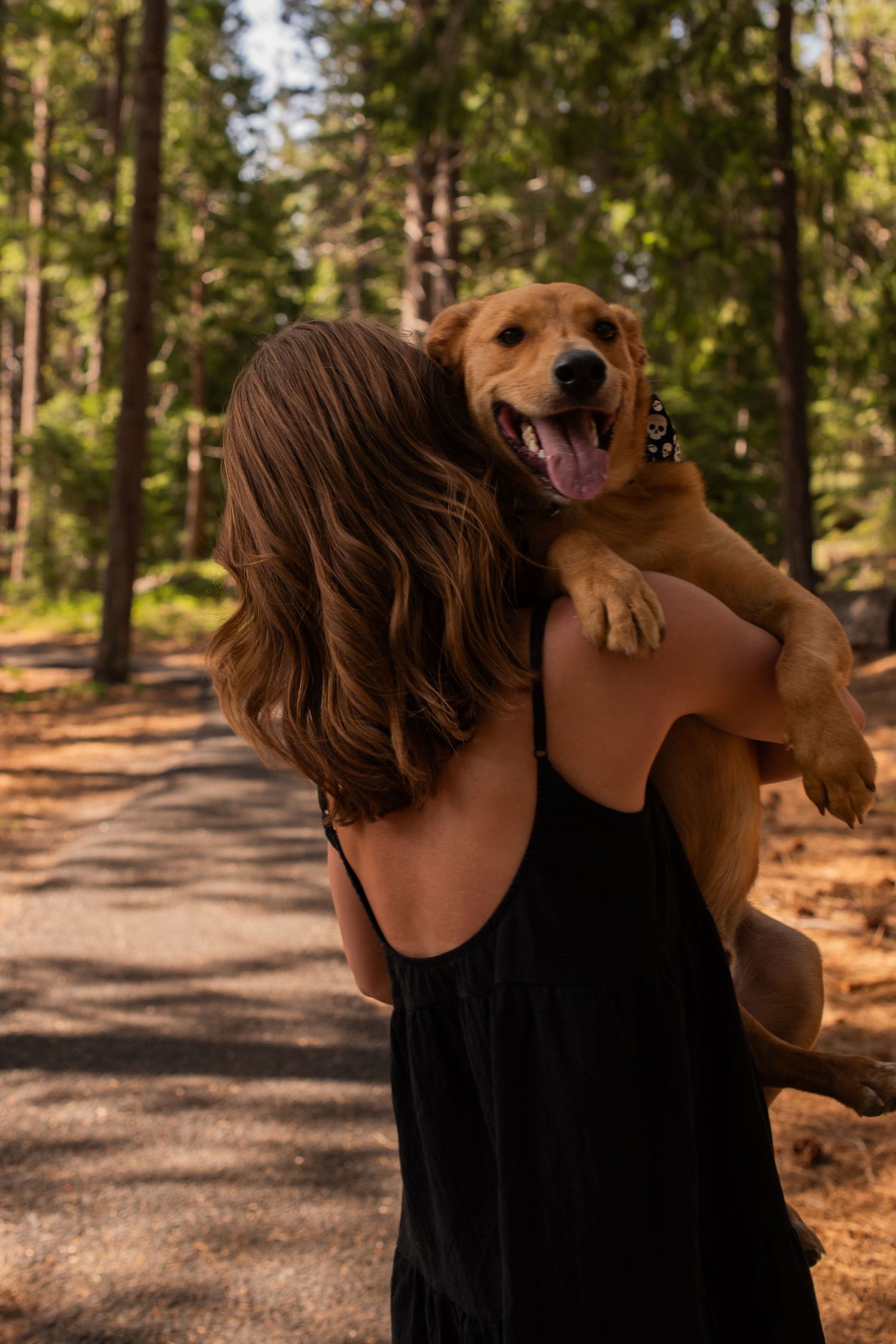 Woman carrying happy golden retriever puppy on forest path in summer sunlight.
