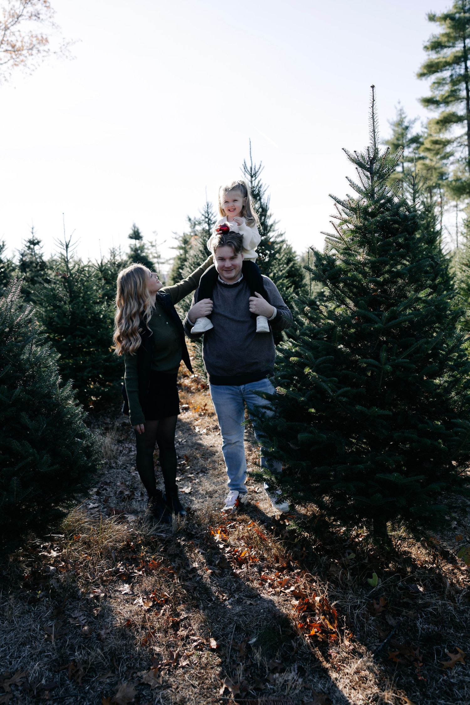 Family enjoying a walk through rows of evergreen trees at a tree farm.