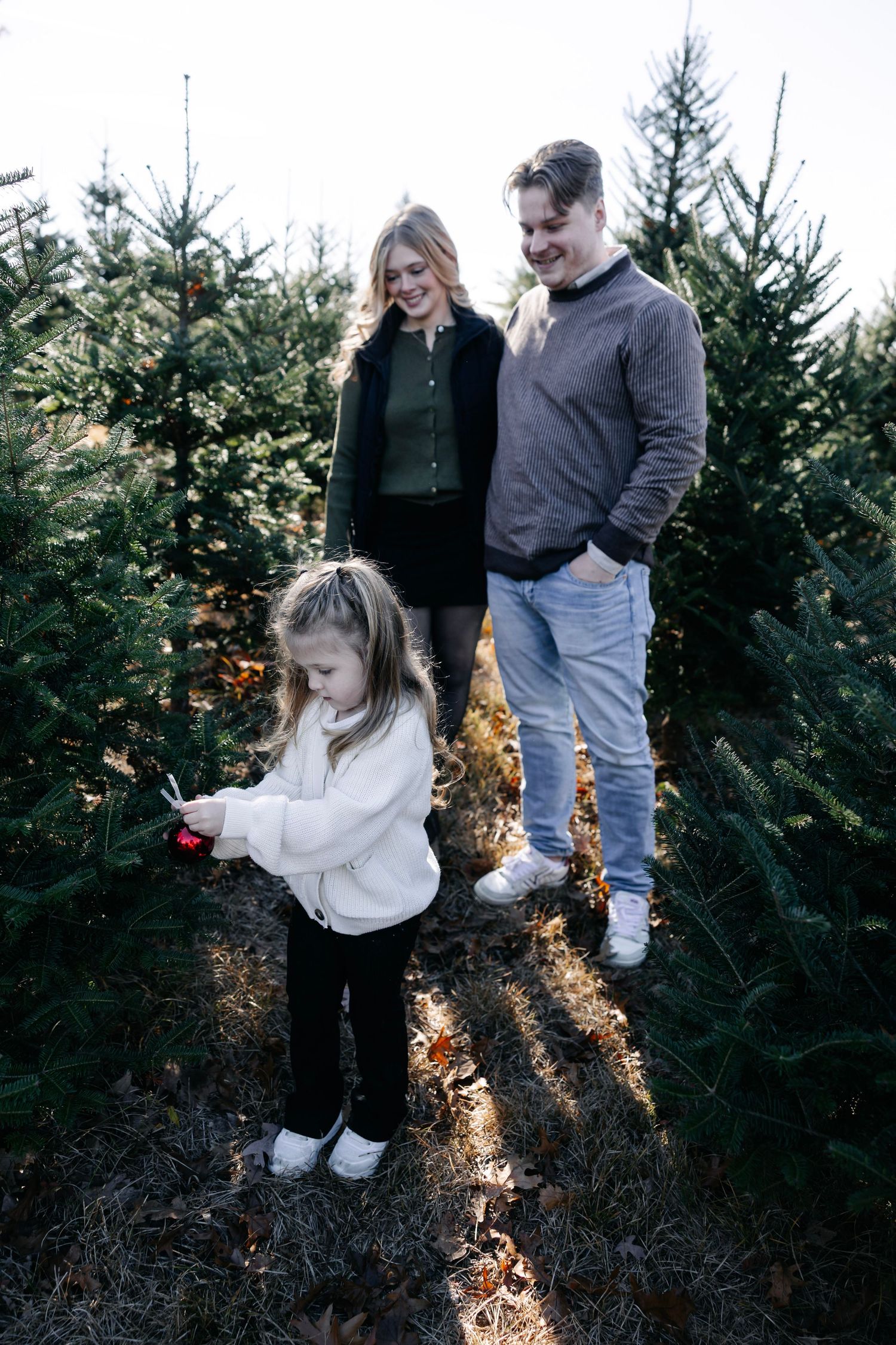 Candid moment of family exploring a Christmas tree farm together among evergreen trees.