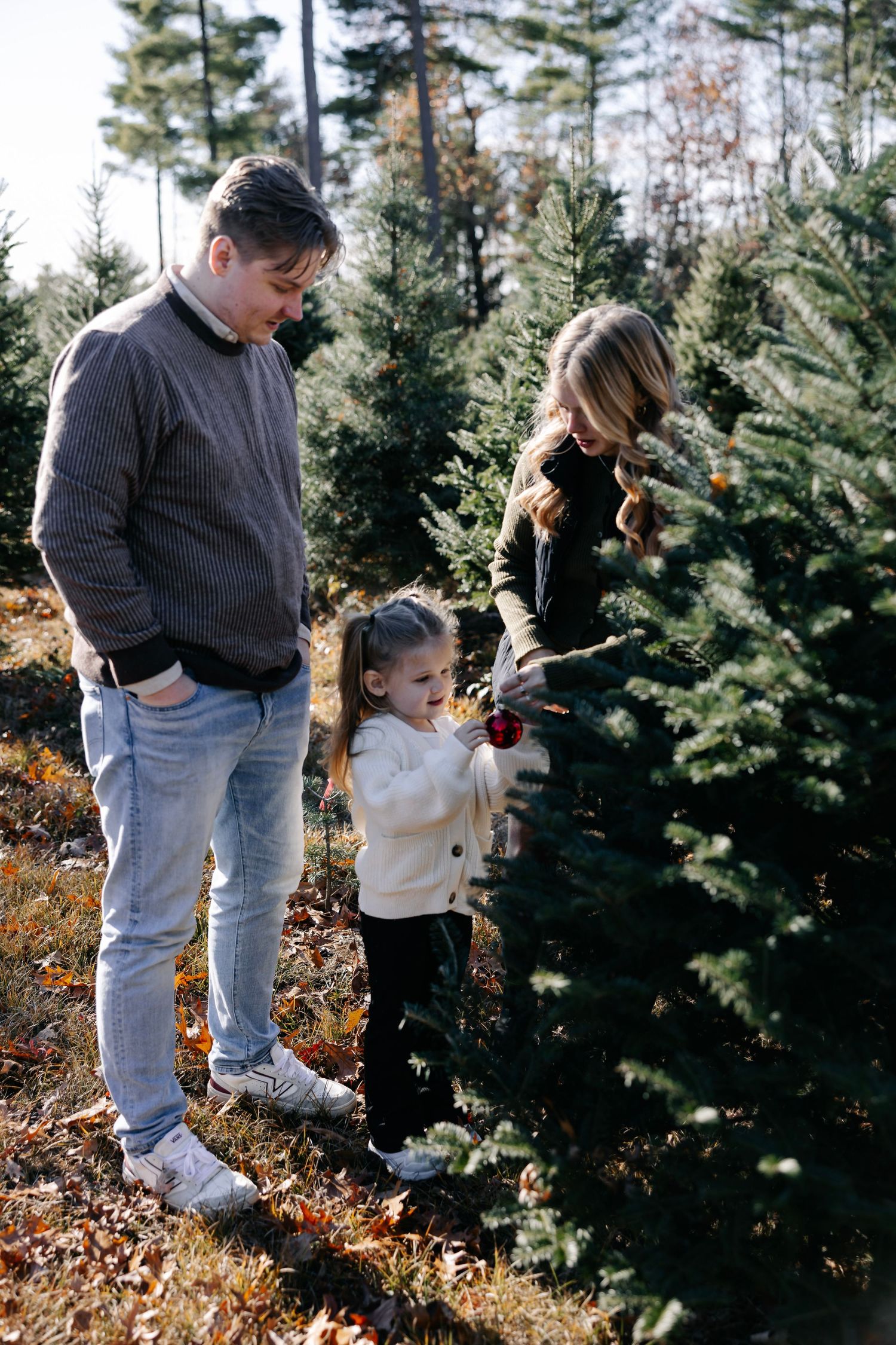 Family enjoying a walk together through an evergreen tree farm on an autumn day.