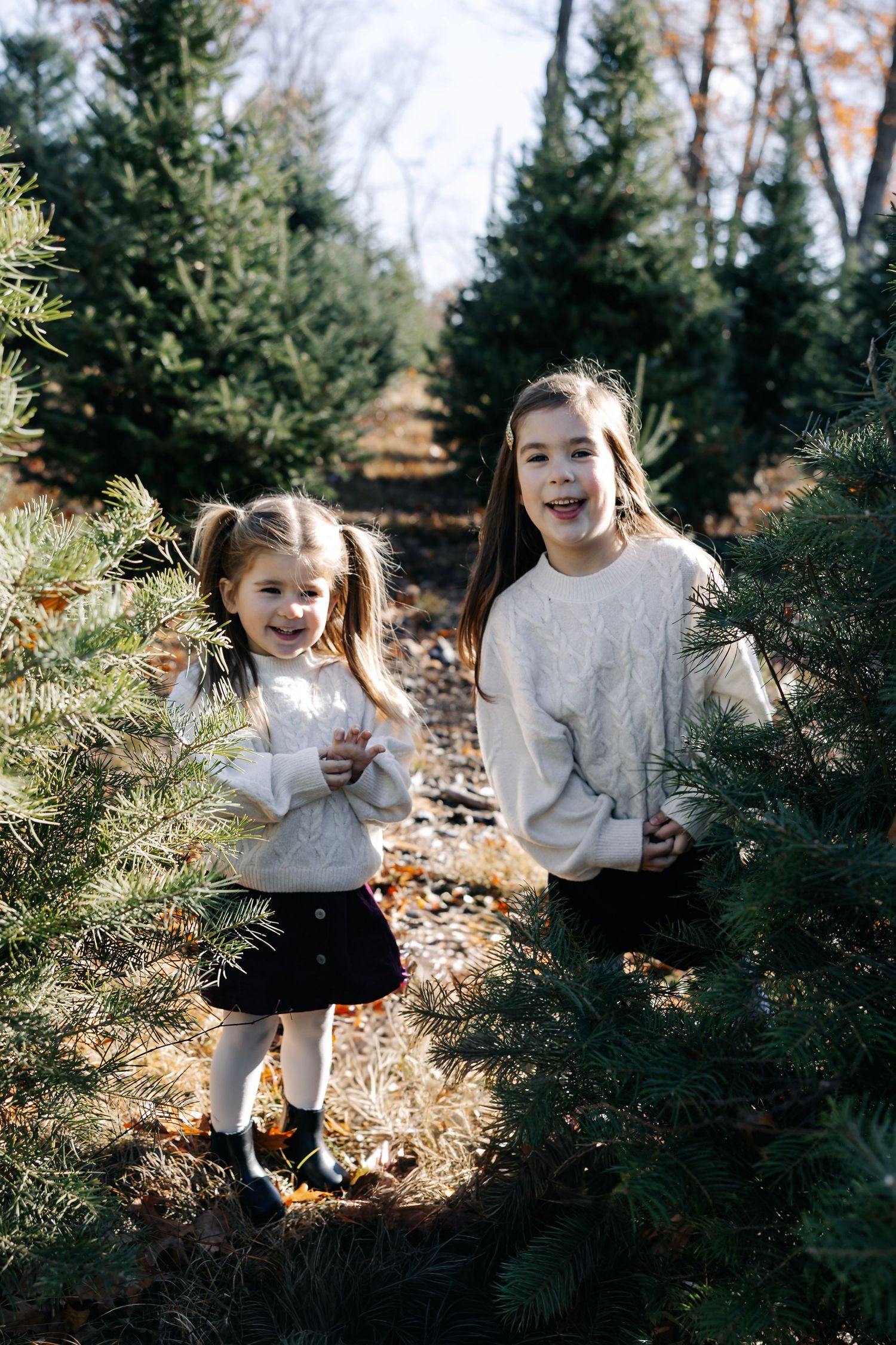 Joyful family laughter and smiles shared among evergreen trees on a bright day.