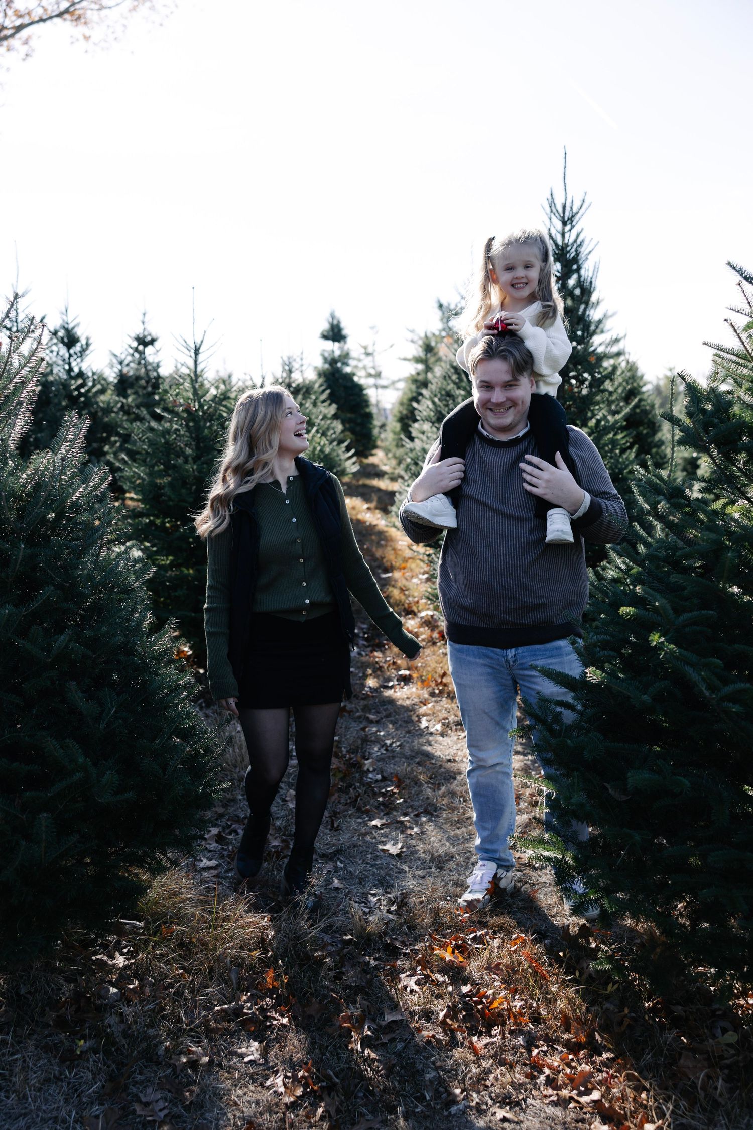 People strolling between rows of pine trees at a festive tree farm.