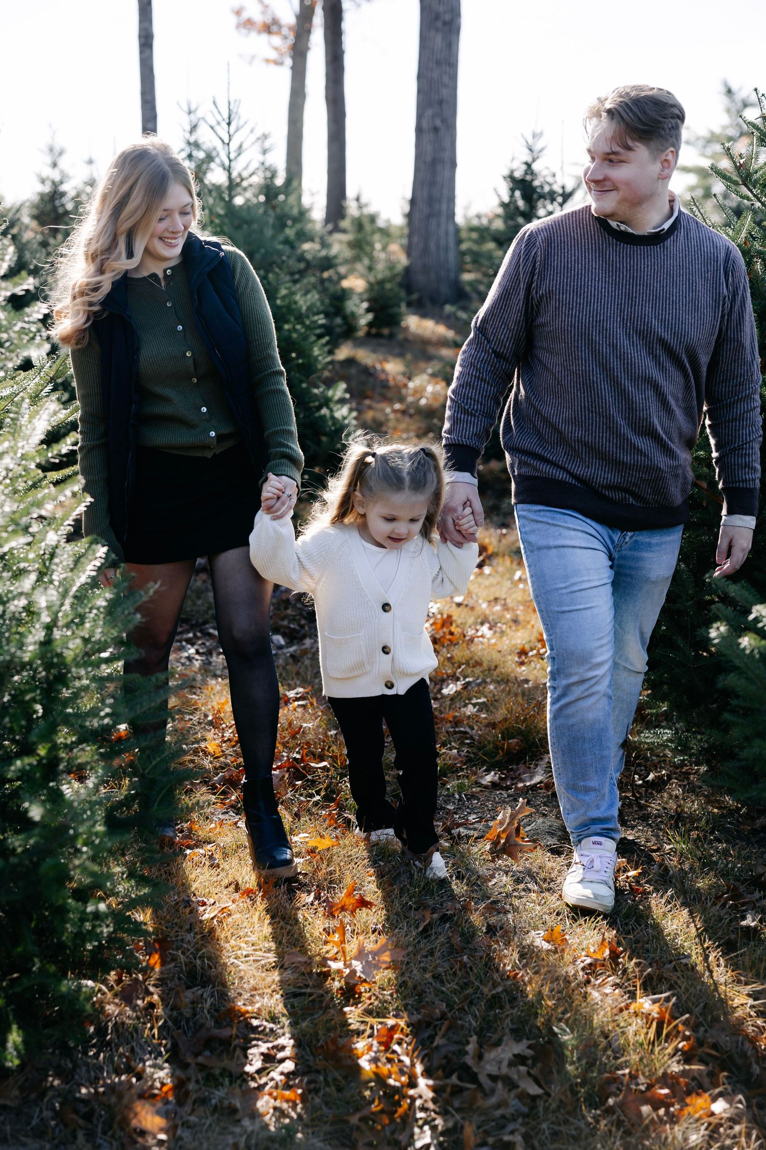 Family walking through fallen leaves between rows of evergreen trees on sunny day.