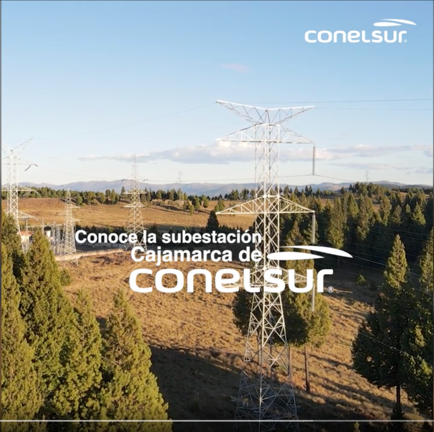 Conelsur