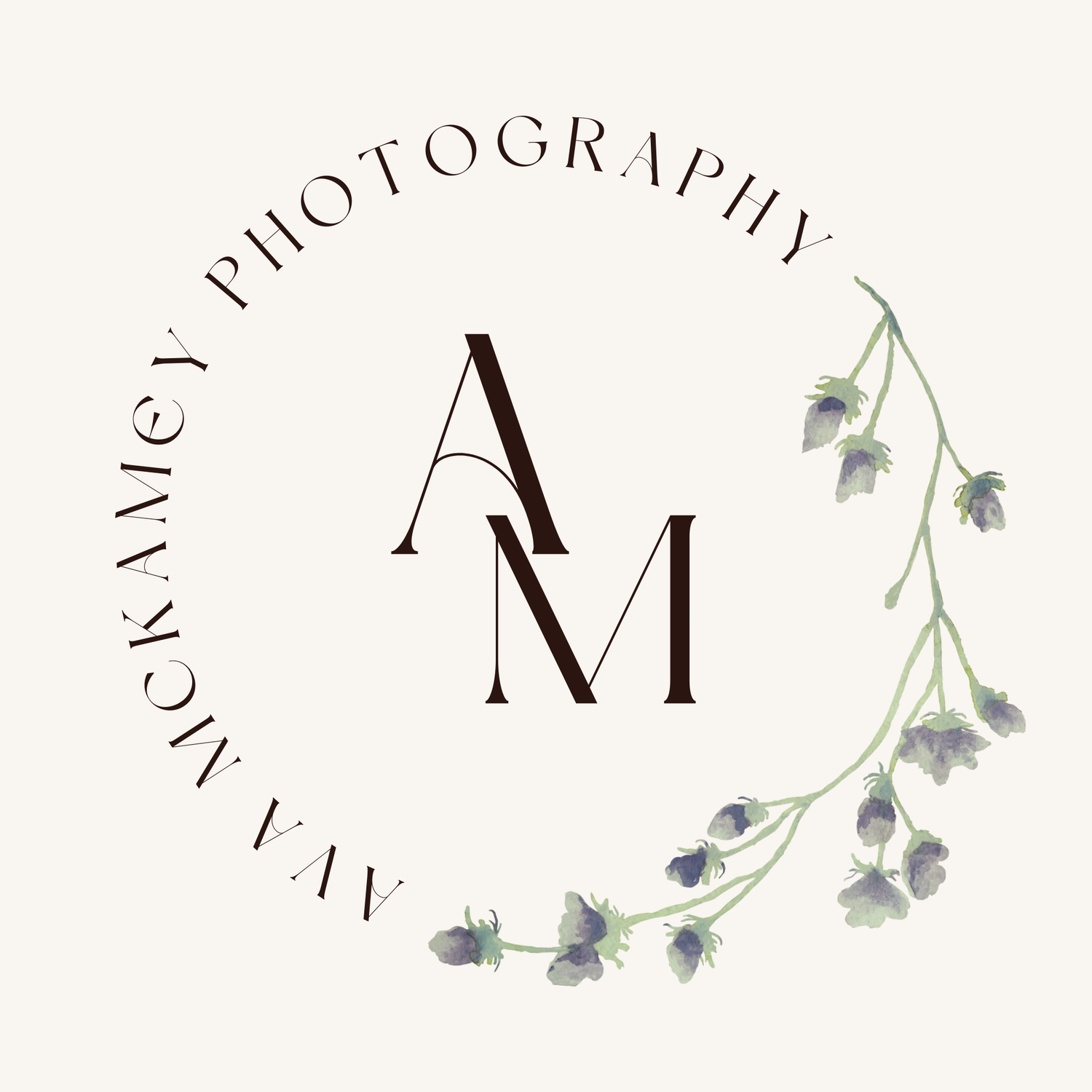 Great Falls, Montana senior, family, branding, engagement, couples, wedding, elopement, real estate photographer