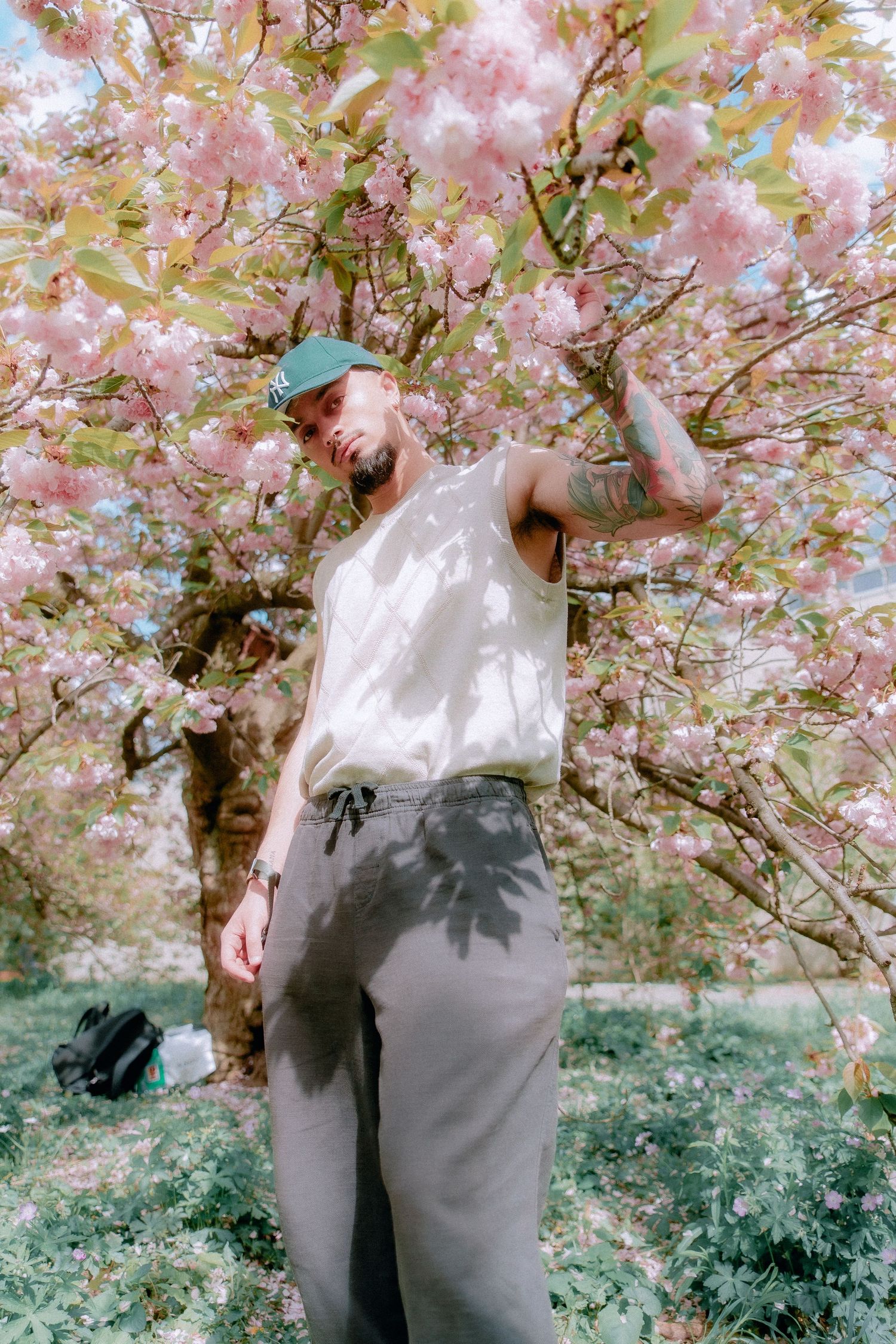 A dreamy spring scene under blooming pink cherry blossoms with soft vintage film tones and light shadows.