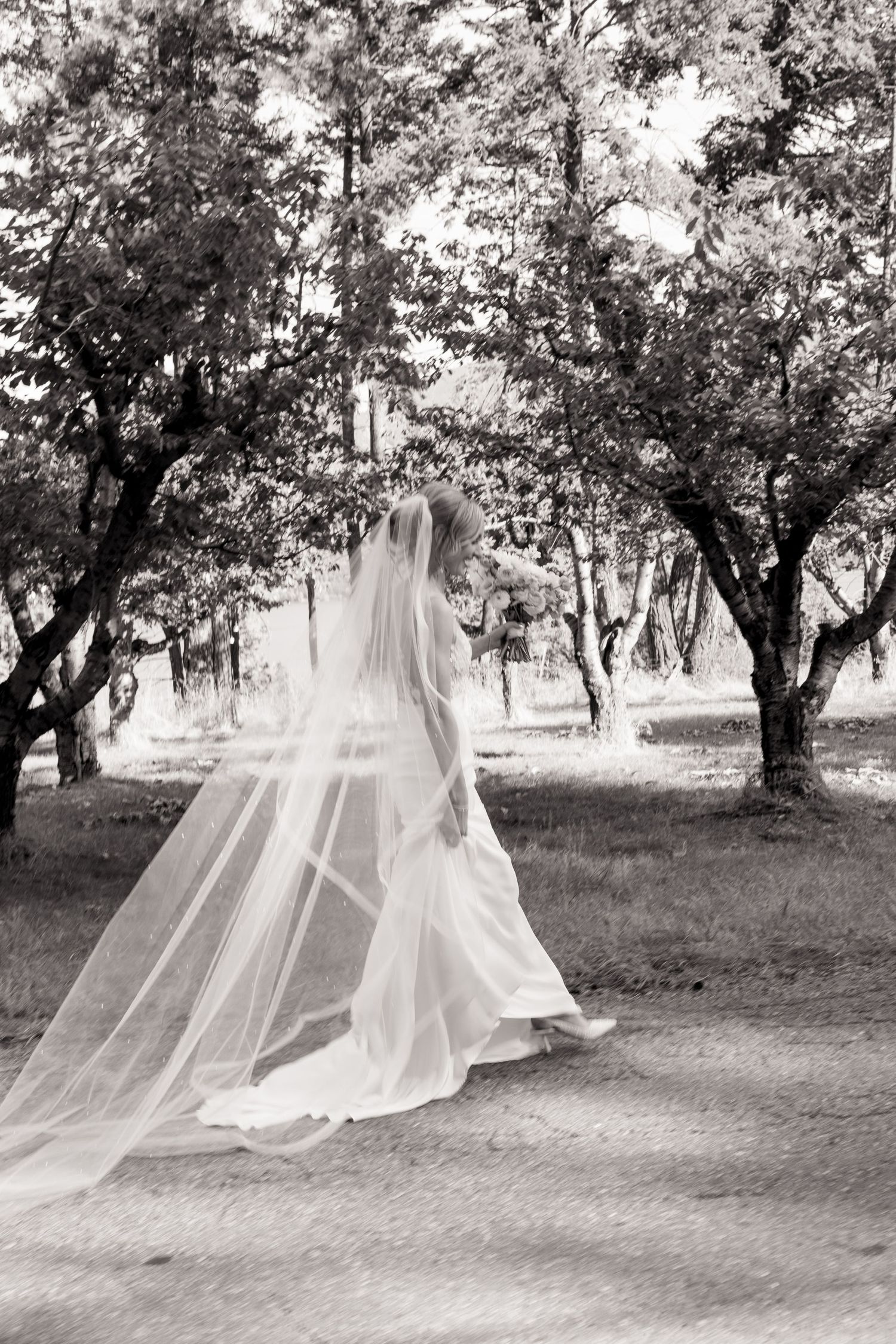 A graceful bride in a flowing white dress and cathedral veil walks through a tree-lined path in black and white.