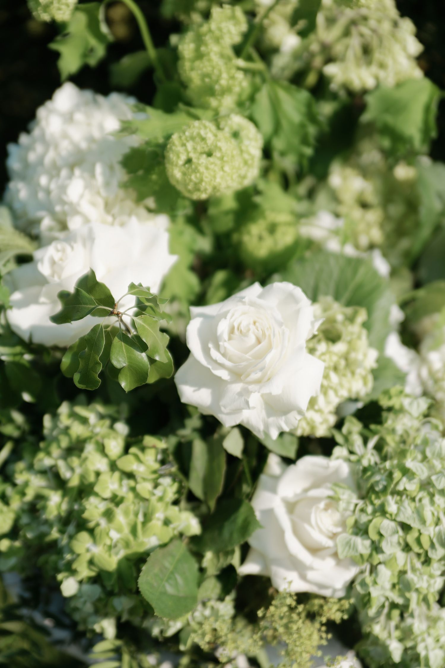 Delicate white roses and light green hydrangeas create an elegant floral arrangement with soft textures and colors.